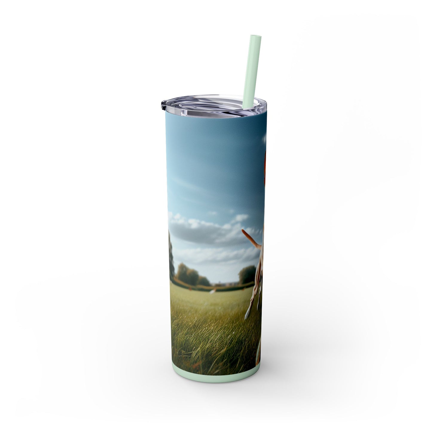 Ibizan Hound Tumbler with Straw, 20oz