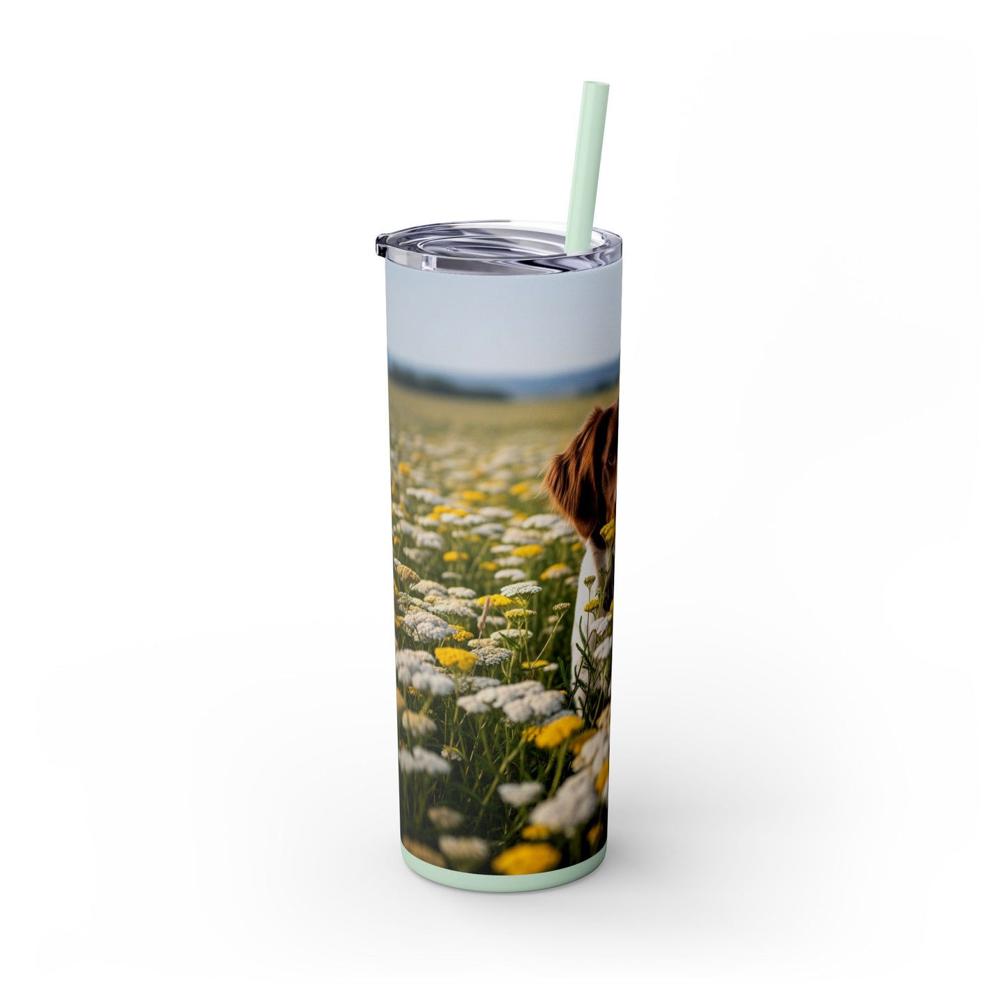 Drentsche Patrijshond Skinny Tumbler with Straw, 20oz