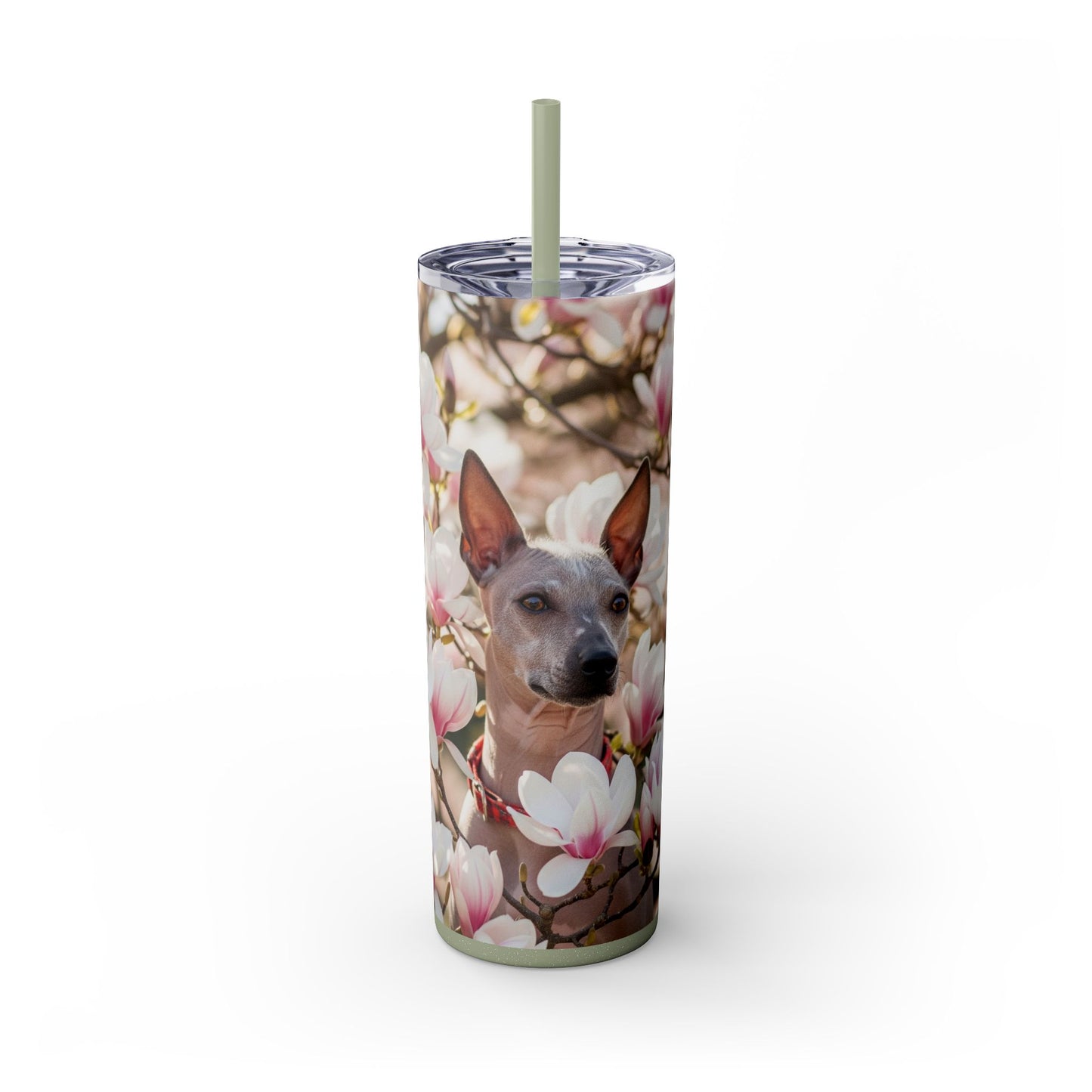 American Hairless Terrier Skinny Tumbler with Straw, 20oz