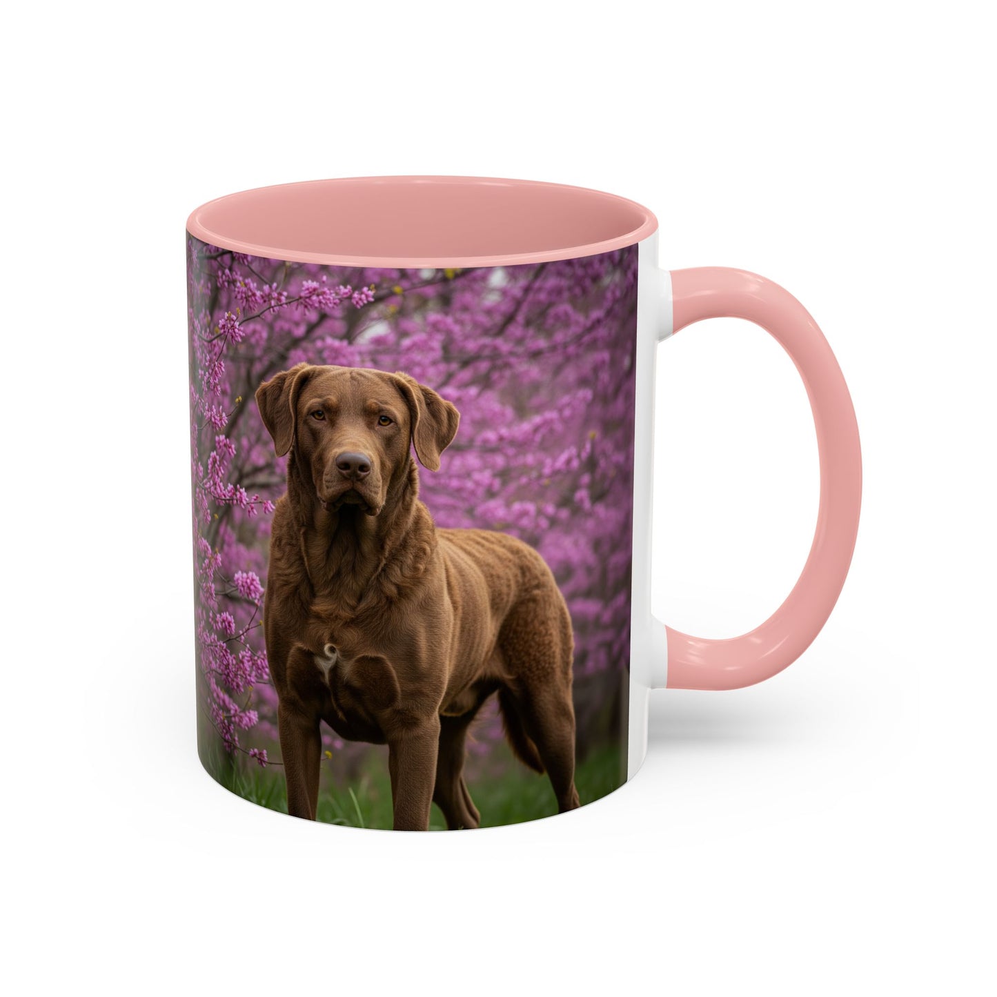 Chesapeake Bay Retriever Accent Coffee Mug - Perfect Gift for Dog Lovers
