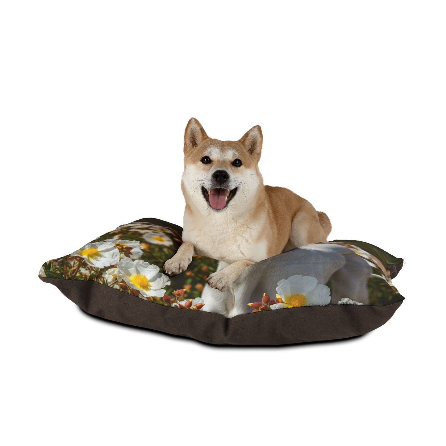 Ibizan Hound Pet Bed