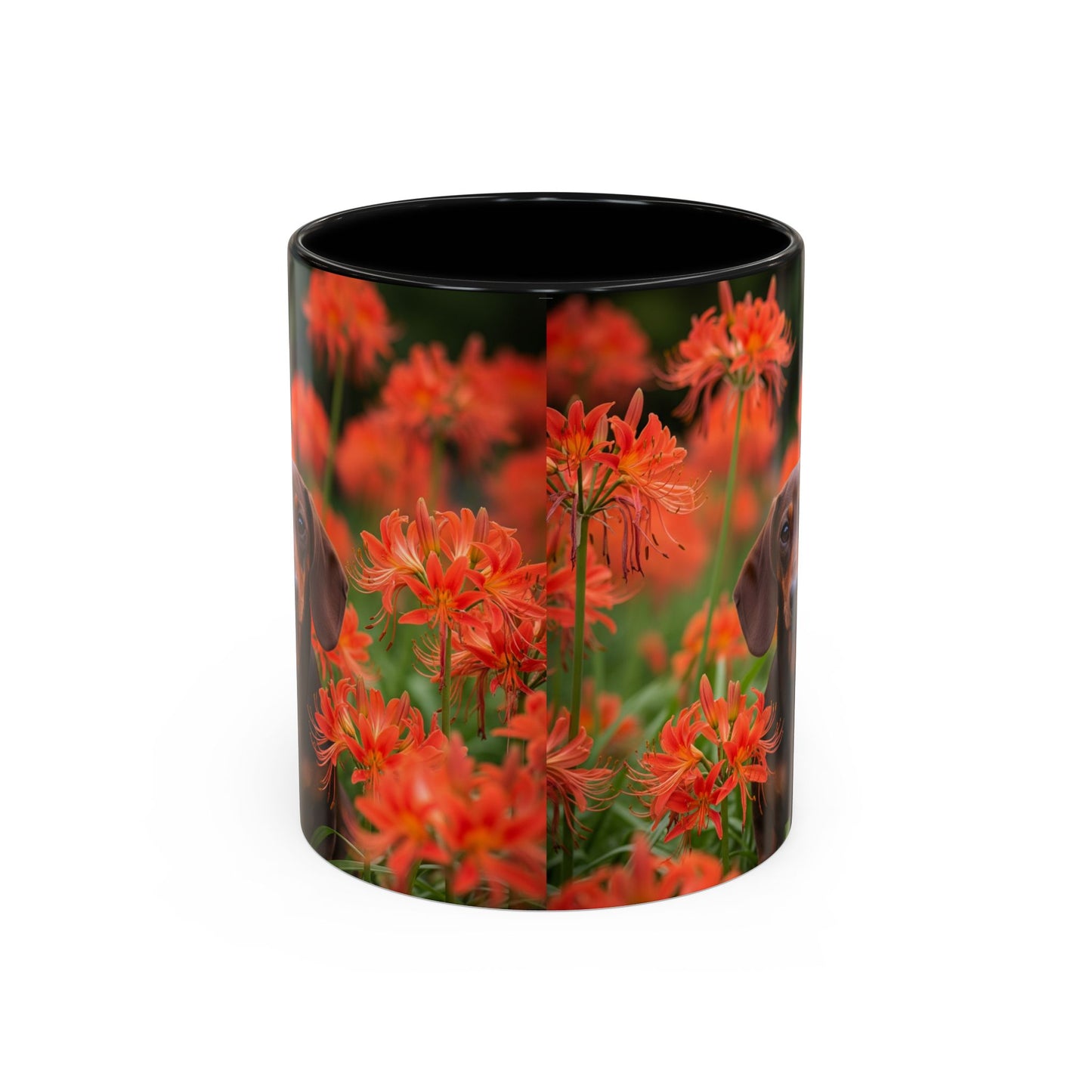 Dachshund Accent Coffee Mug - Perfect Gift for Dog Lovers