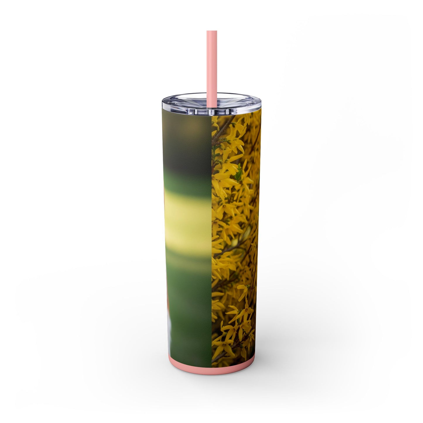 Brittany Dog Tumbler with Straw, 20oz