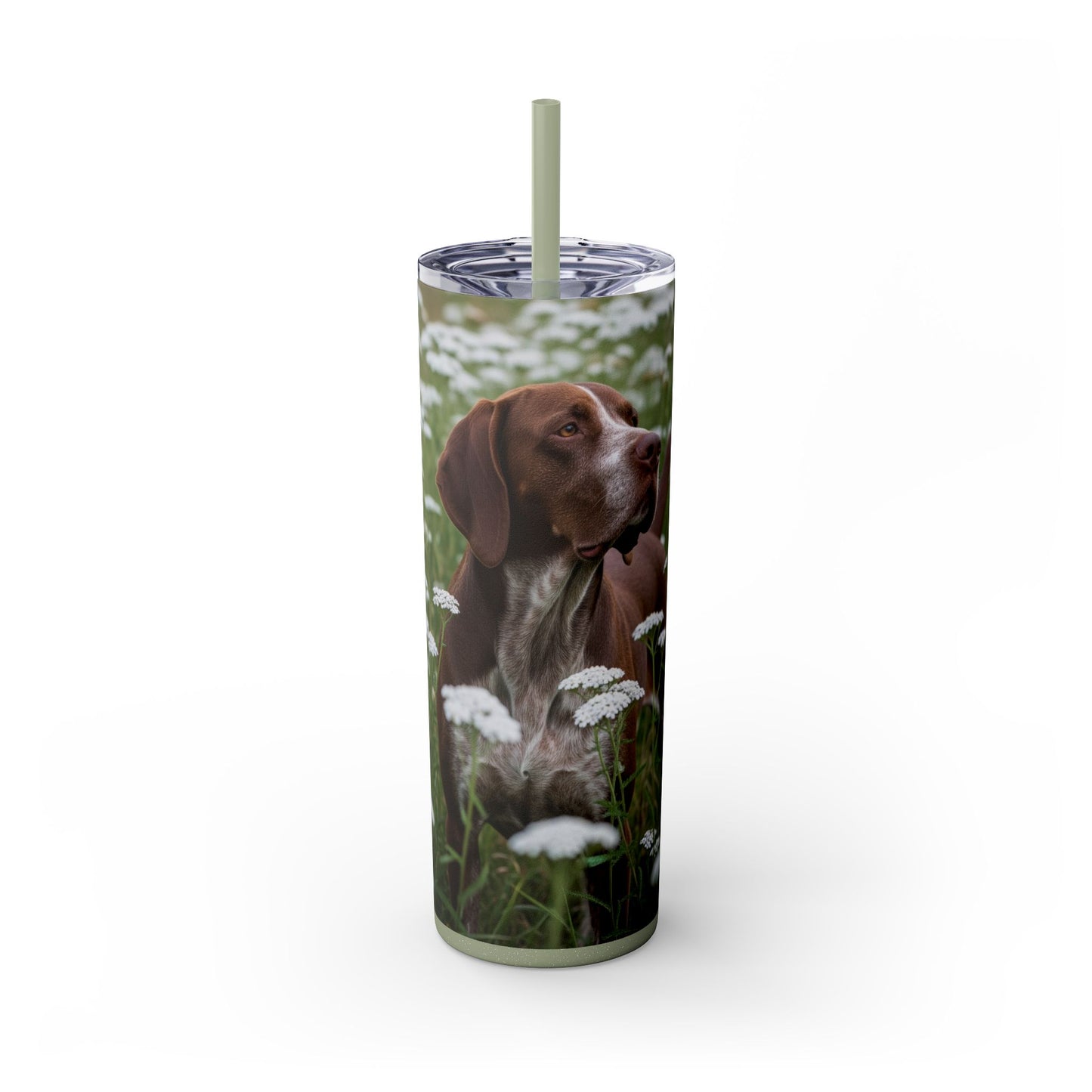 Braque du Bourbonnais Tumbler with Straw, 20oz