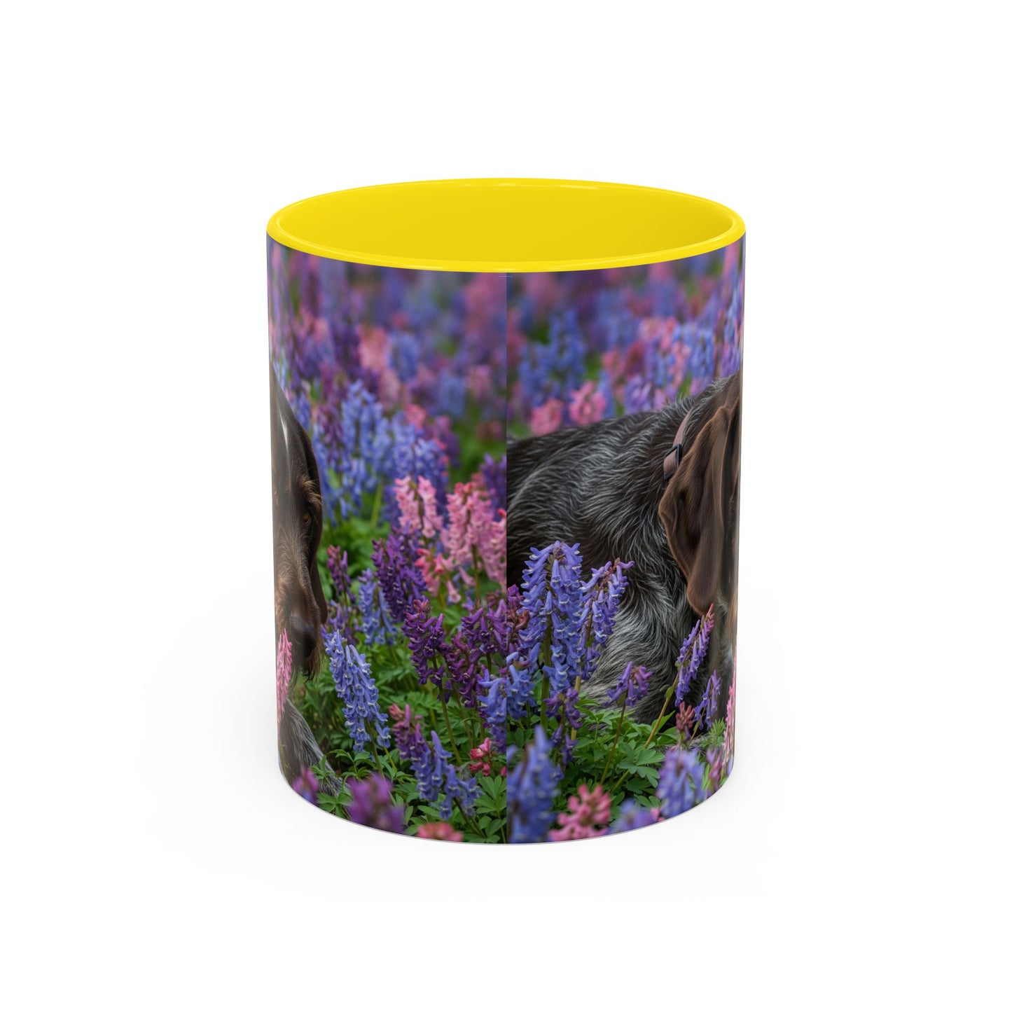 Wirehaired Slovakian Pointer Accent Coffee Mug - Perfect Gift for Dog Lovers