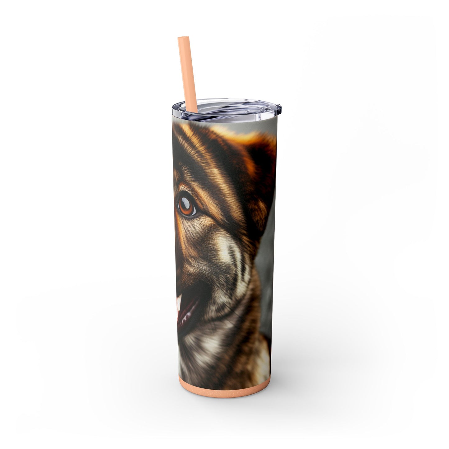 Kai Ken Tumbler with Straw, 20oz