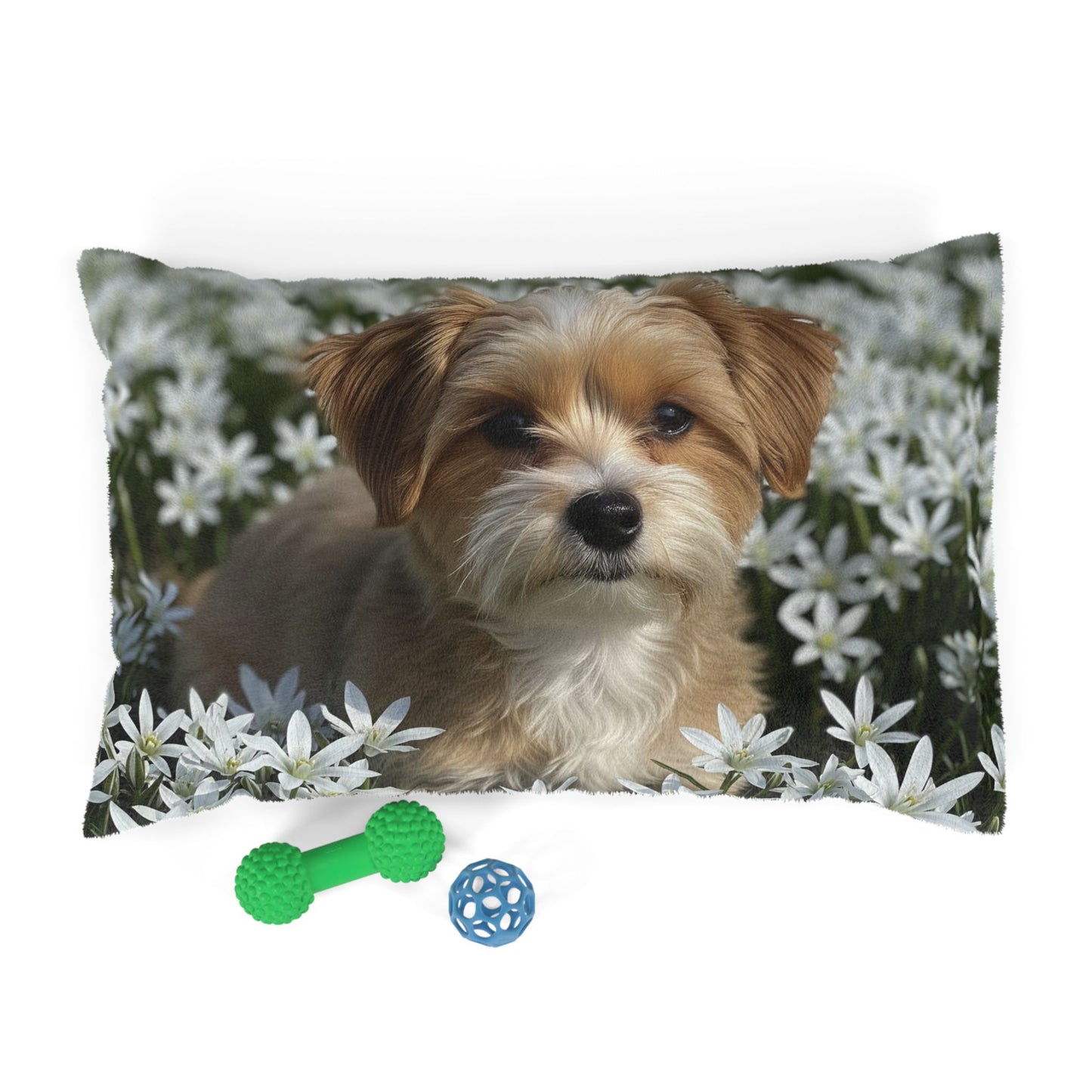 Morkie Pet Bed