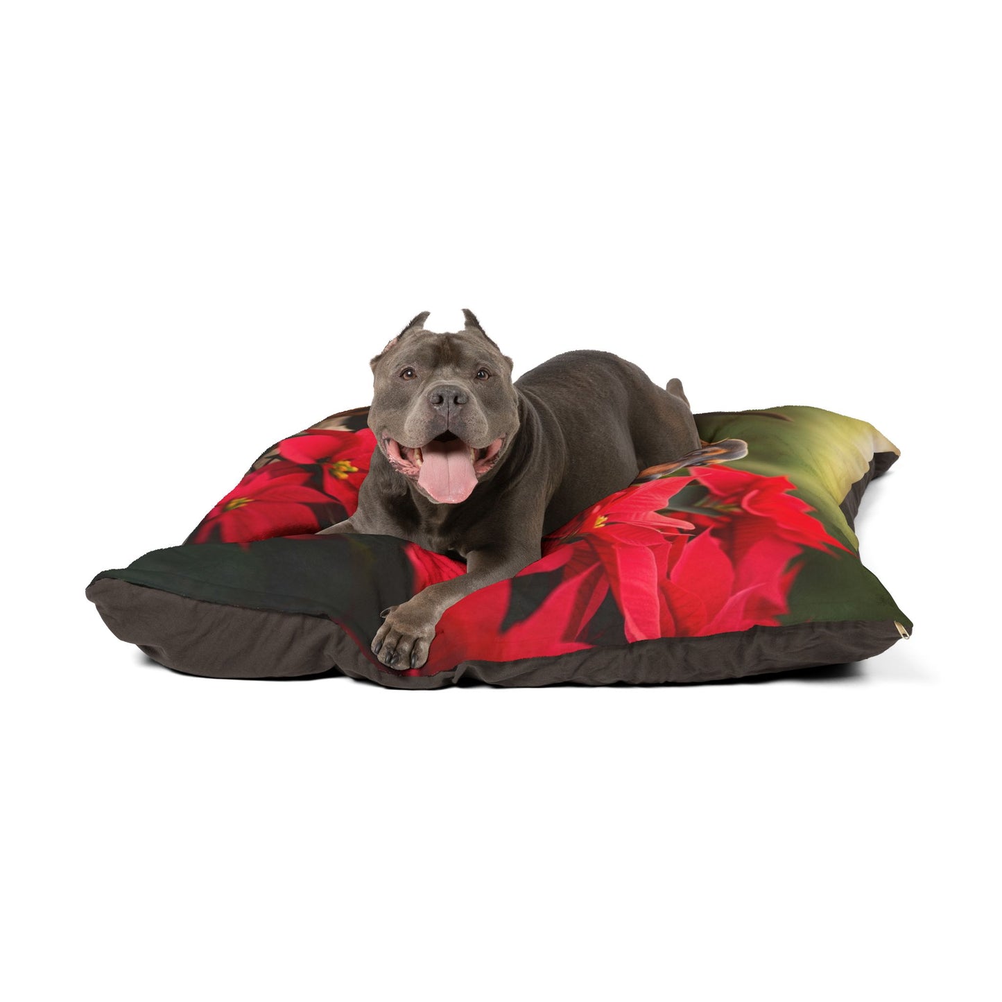 Chiweenie Pet Bed