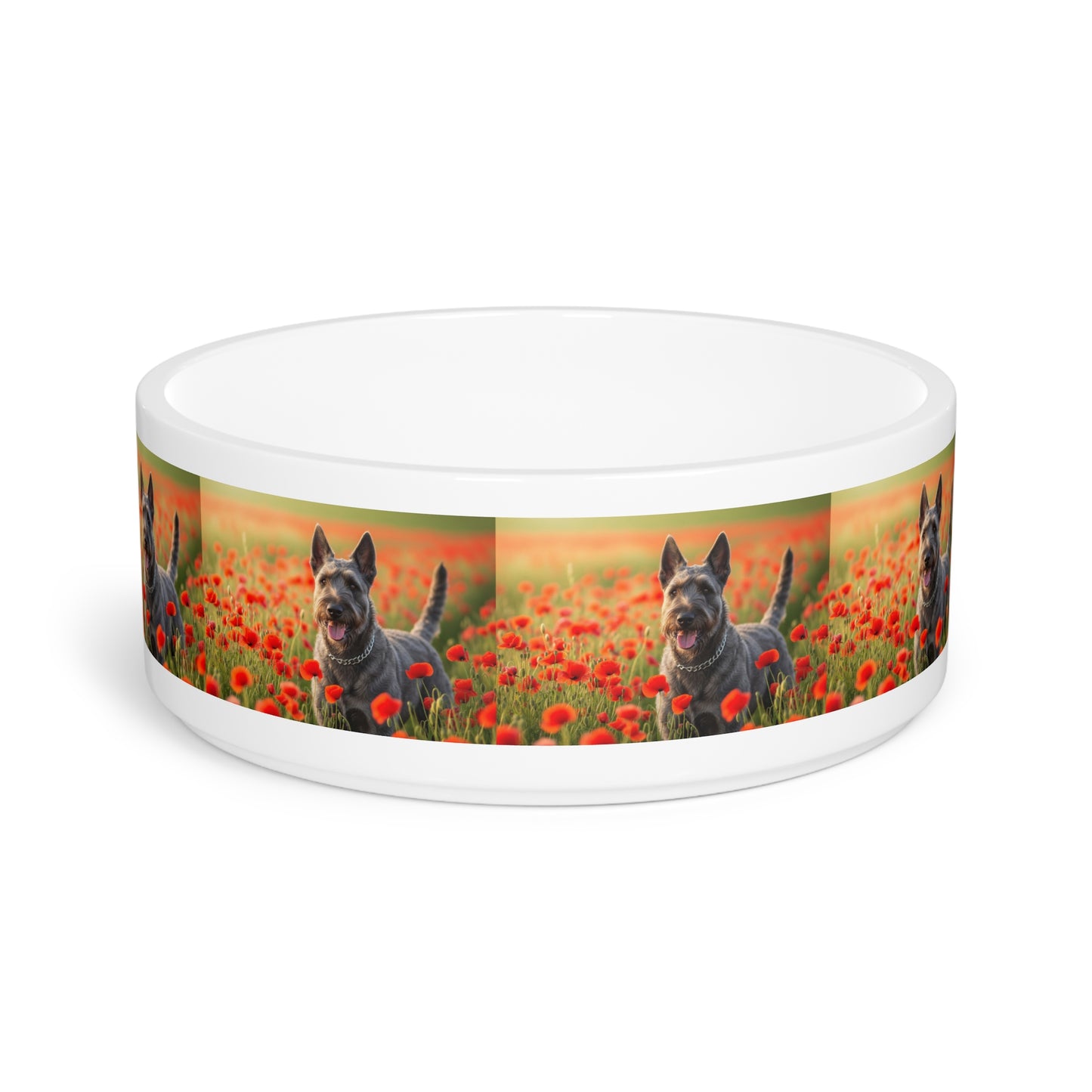 Bouvier des Ardennes Pet Bowl