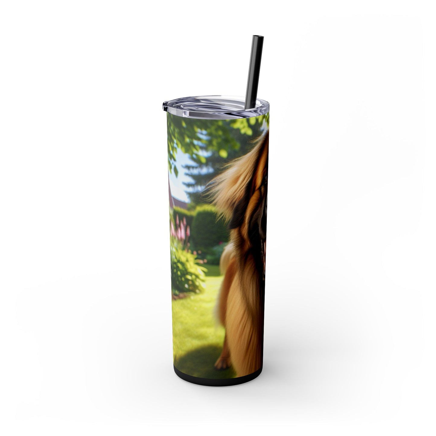 Leonberger Tumbler with Straw, 20oz