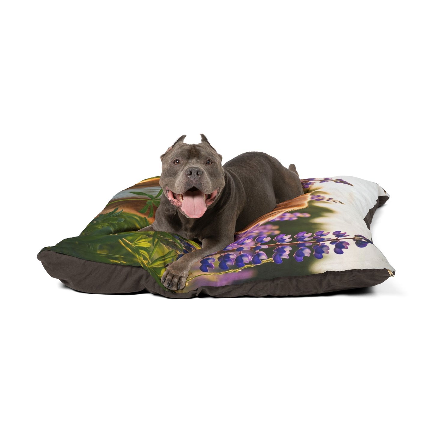 Nova Scotia Duck Tolling Retriever Pet Bed