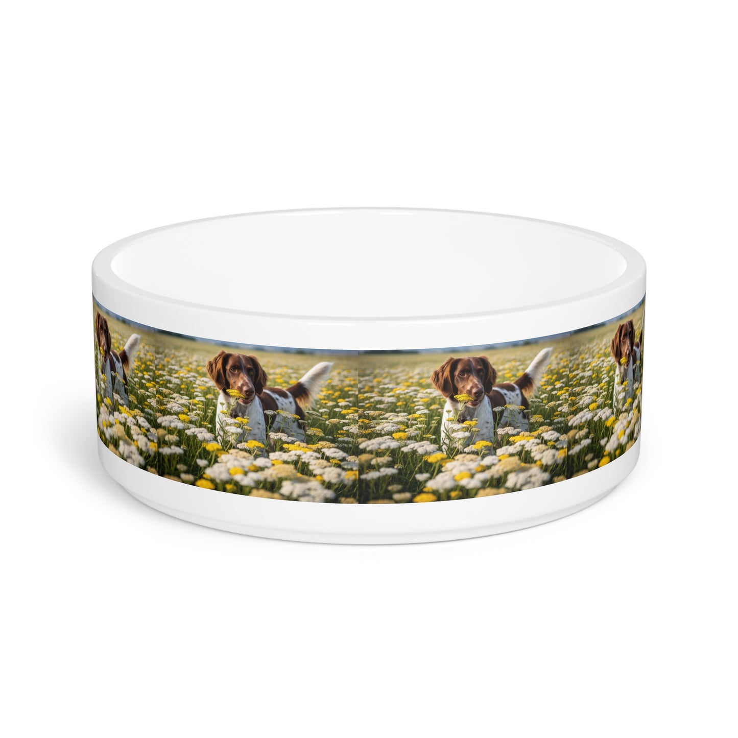 Drentsche Patrijshond Pet Bowl