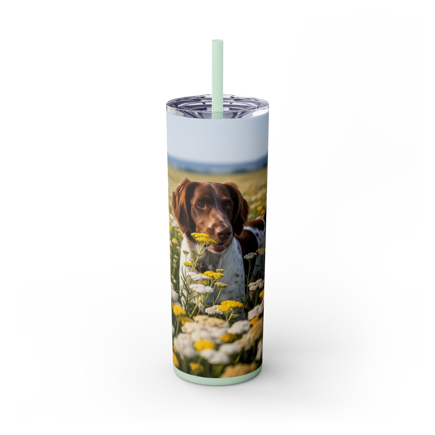 Drentsche Patrijshond Skinny Tumbler with Straw, 20oz