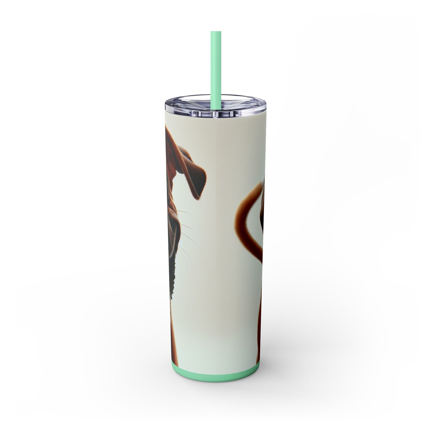Boxer Skinny Tumbler with Straw, 20oz