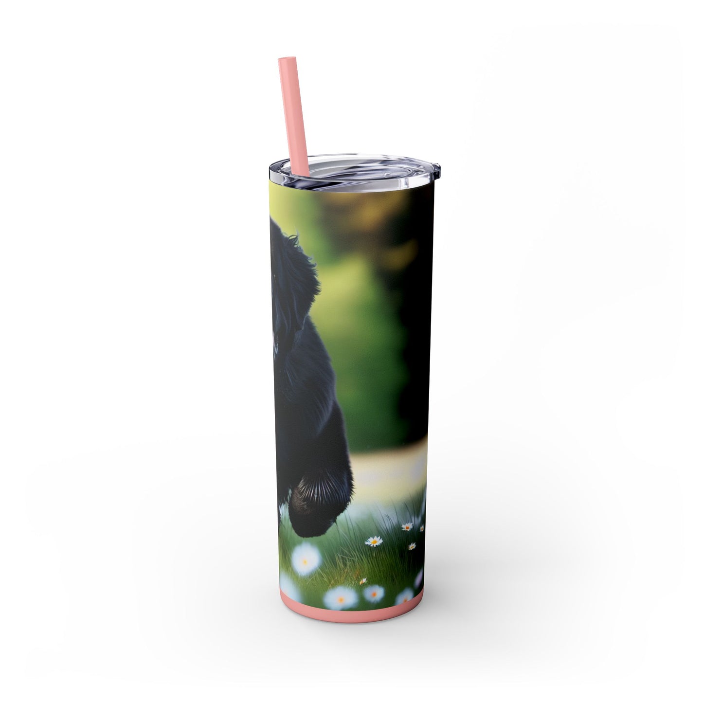 Newfoundland Skinny Tumbler with Straw, 20oz