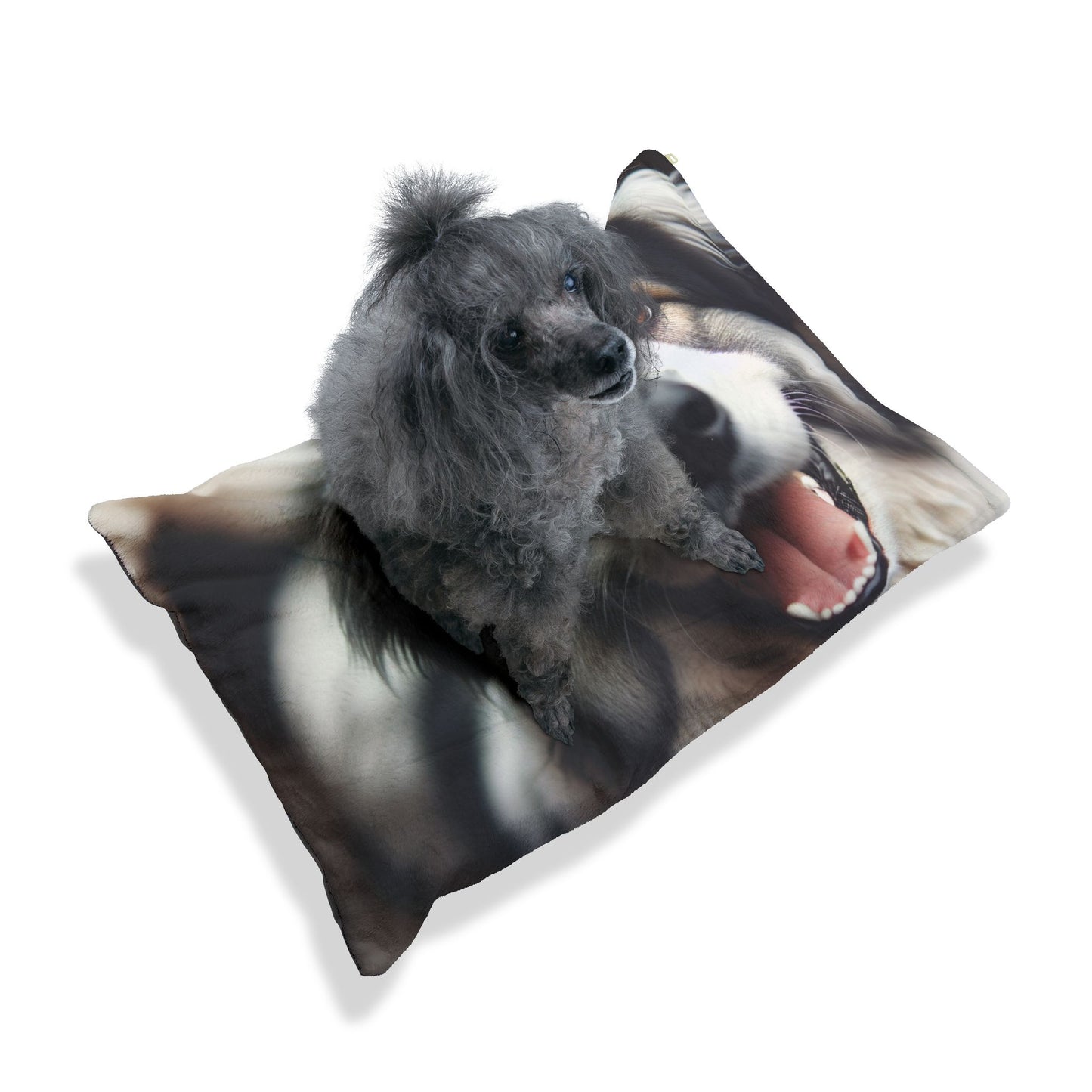 Romanian Mioritic Shepherd Dog Pet Bed