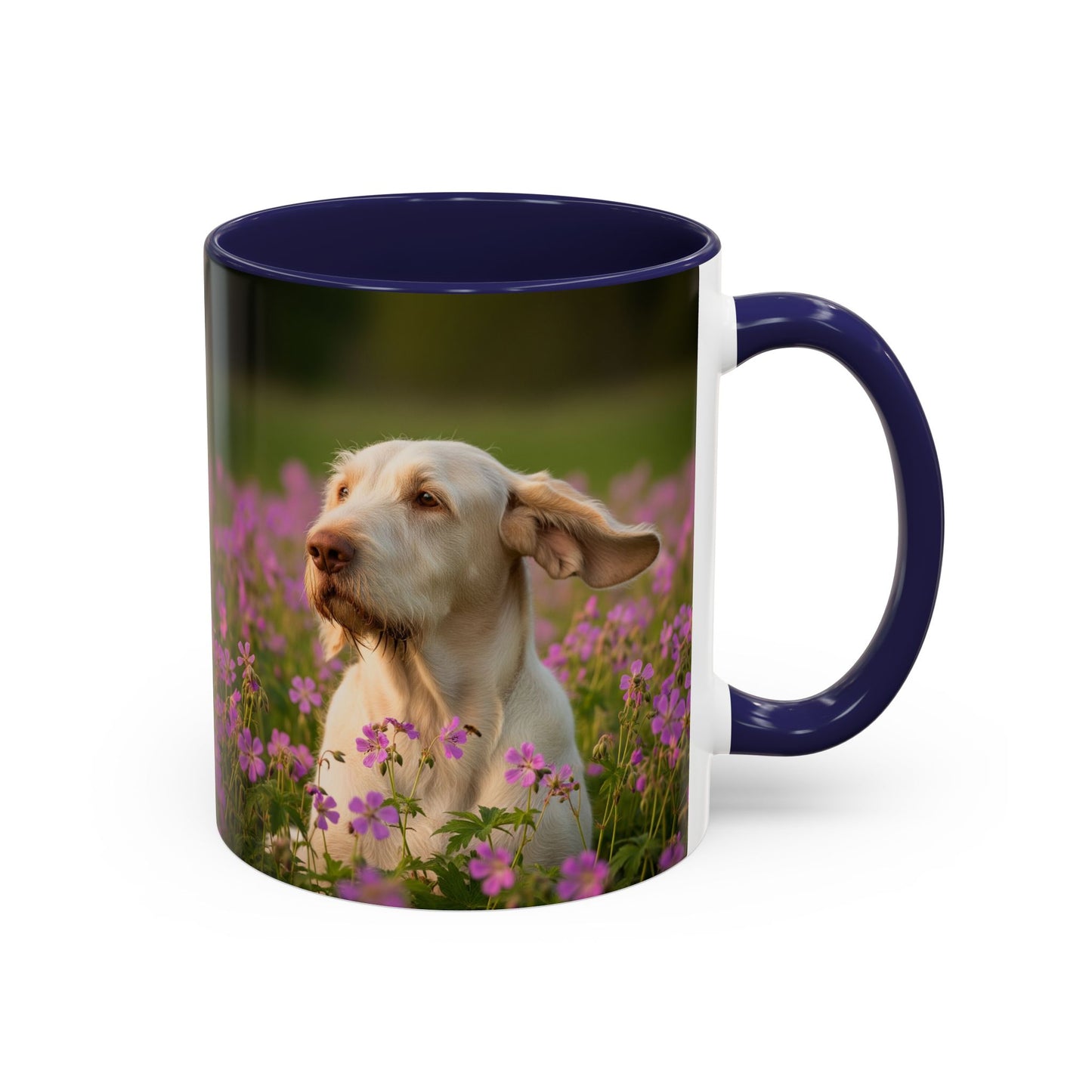 Spinone Italiano Accent Coffee Mug - Perfect Gift for Dog Lovers