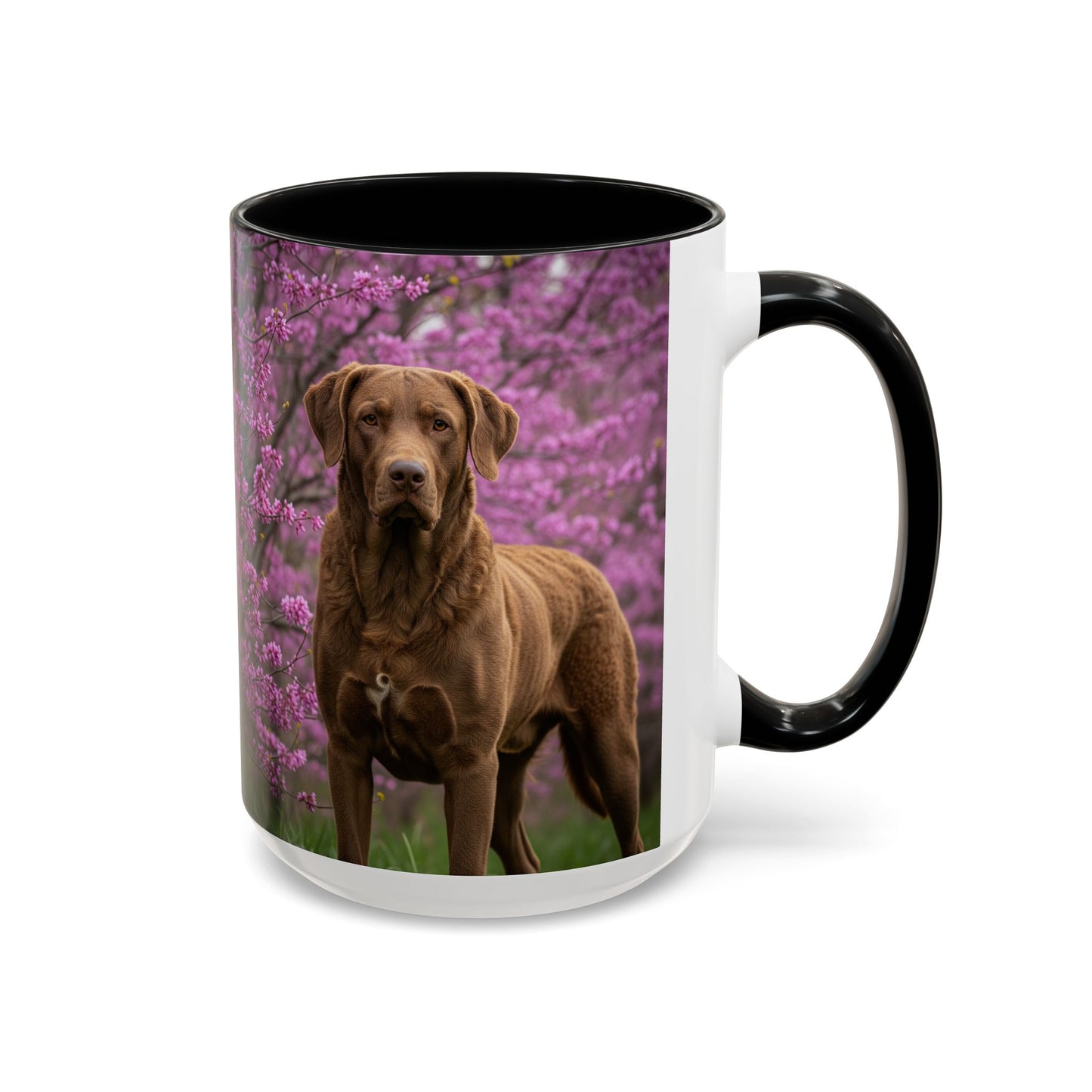 Chesapeake Bay Retriever Accent Coffee Mug - Perfect Gift for Dog Lovers