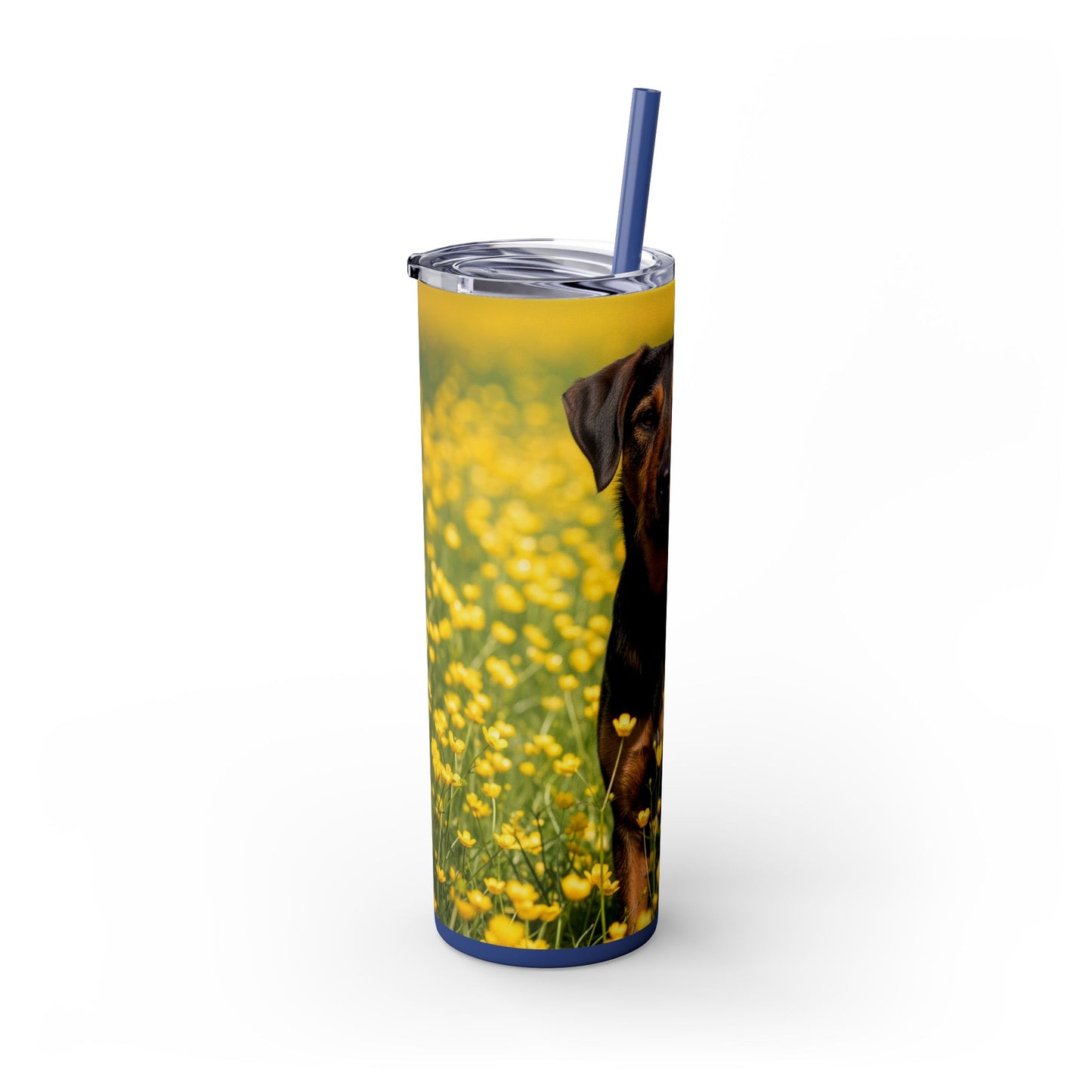 Drever Tumbler with Straw, 20oz