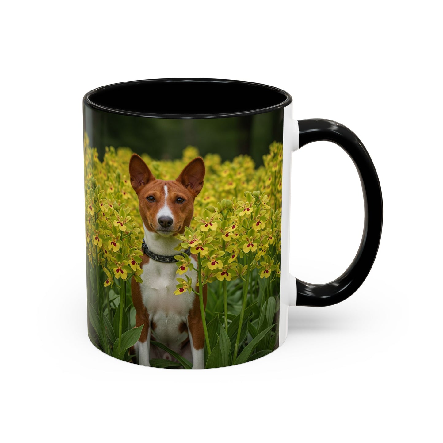 Basenji Accent Coffee Mug - Perfect Gift for Dog Lovers