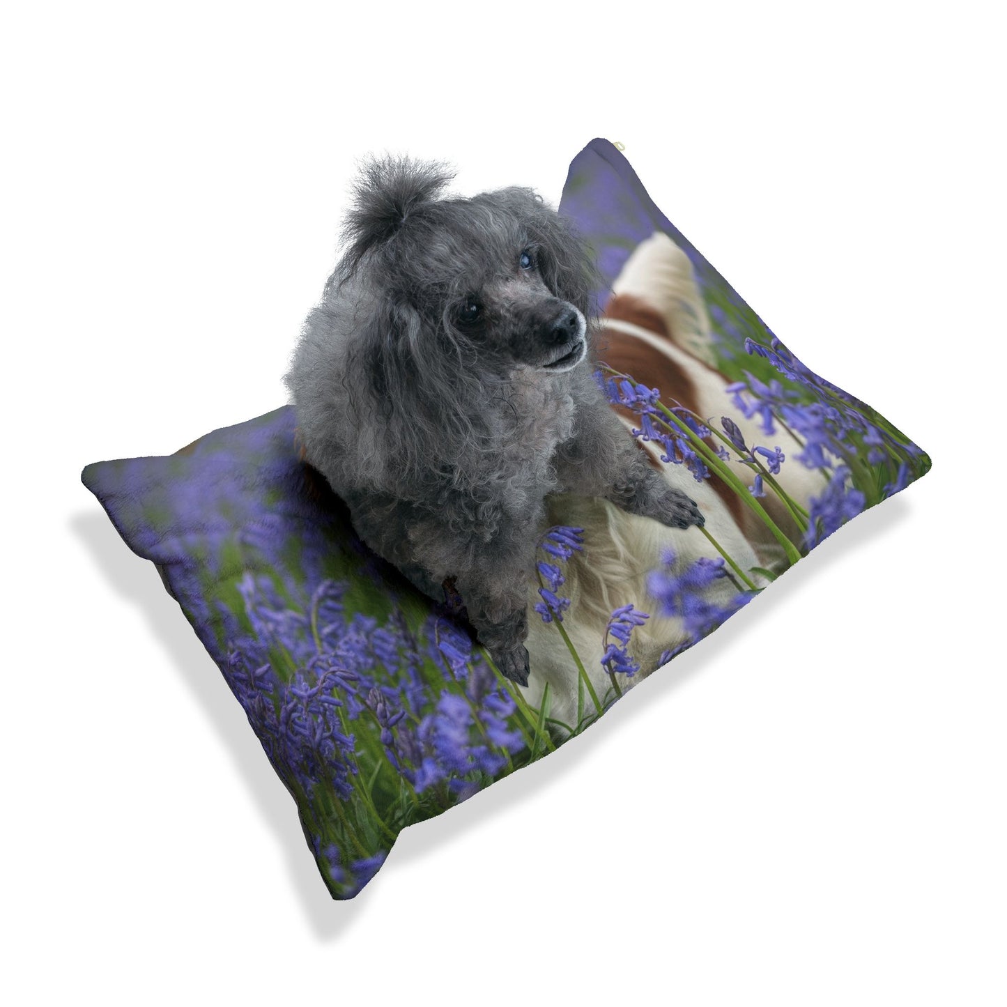 Welsh Springer Spaniel Pet Bed
