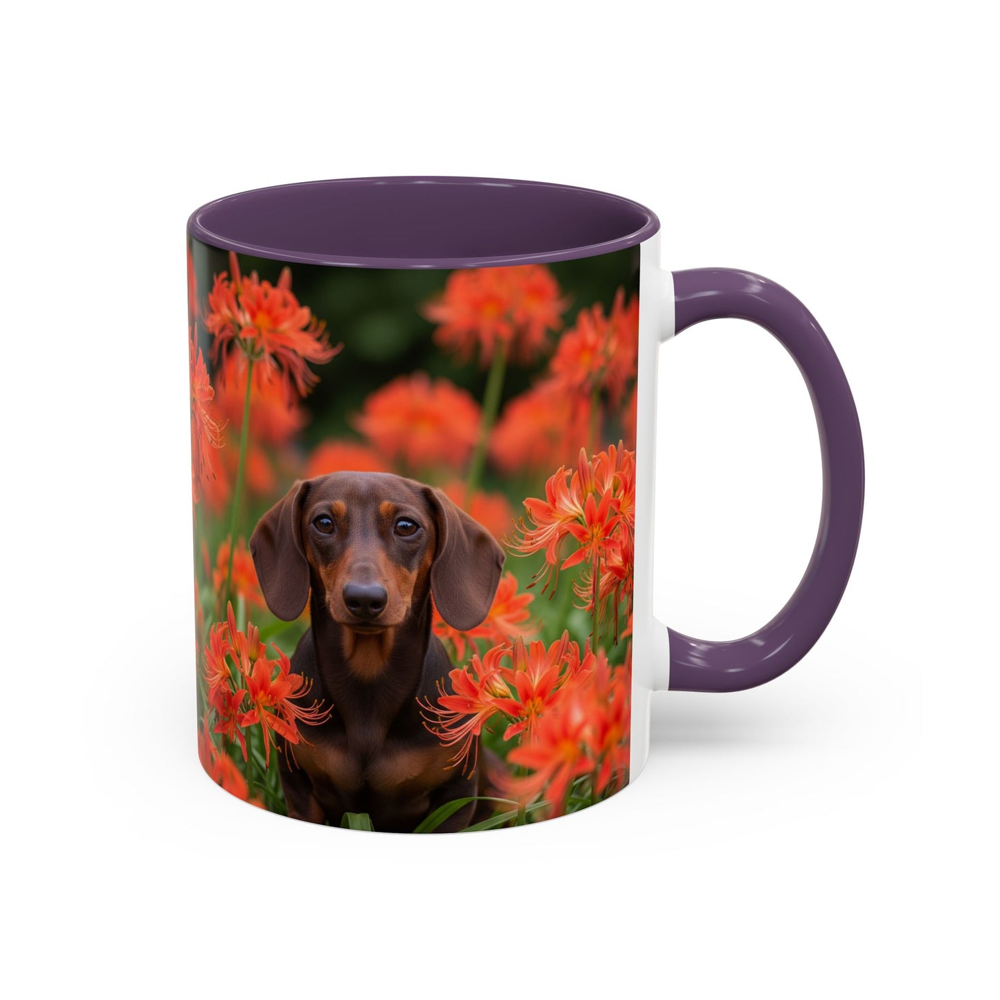 Dachshund Accent Coffee Mug - Perfect Gift for Dog Lovers