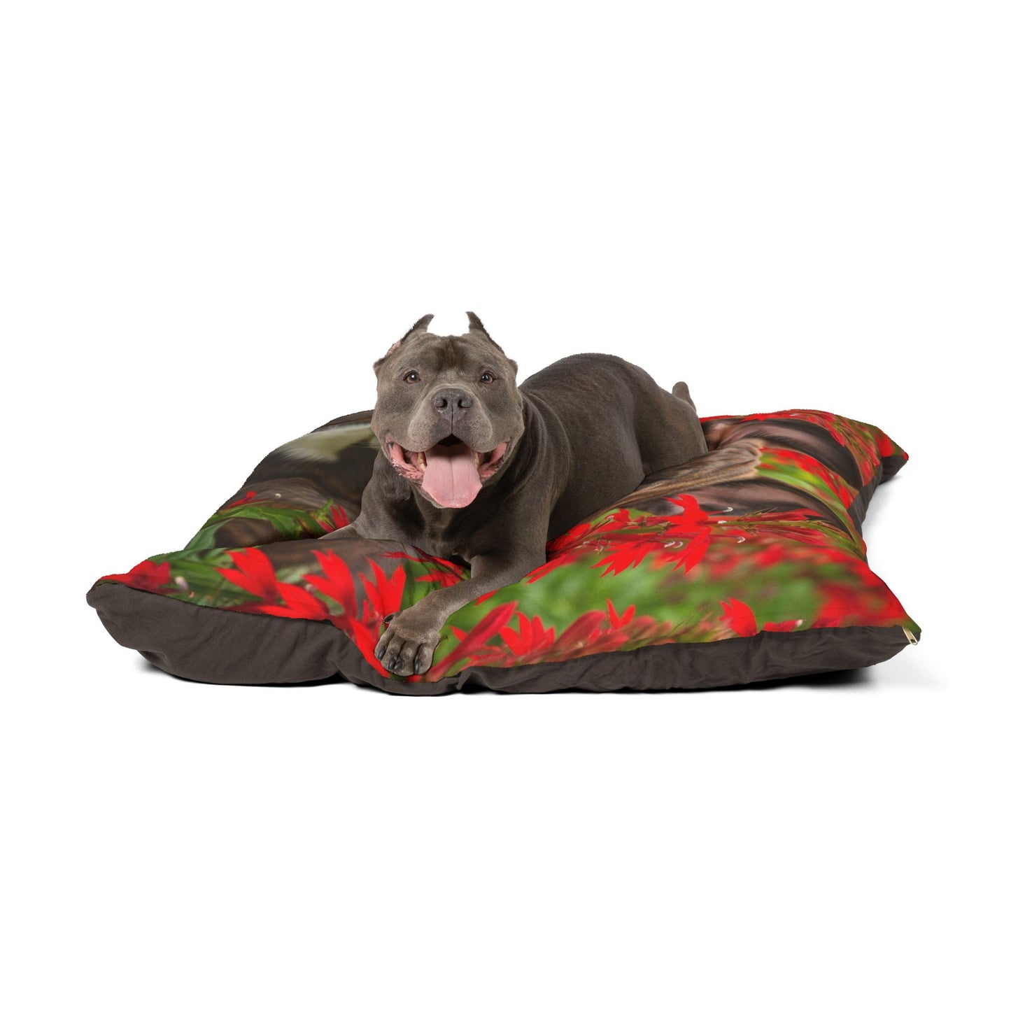 Frenchton Pet Bed