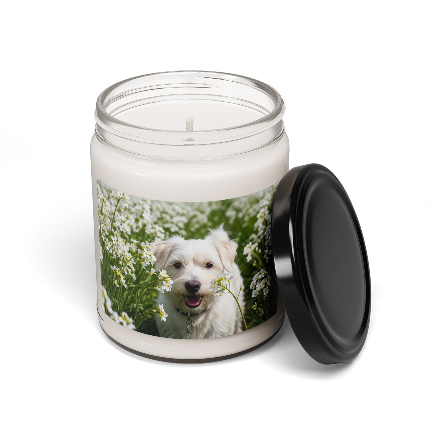 Kromfohrlander- Scented Soy Candle, 9oz