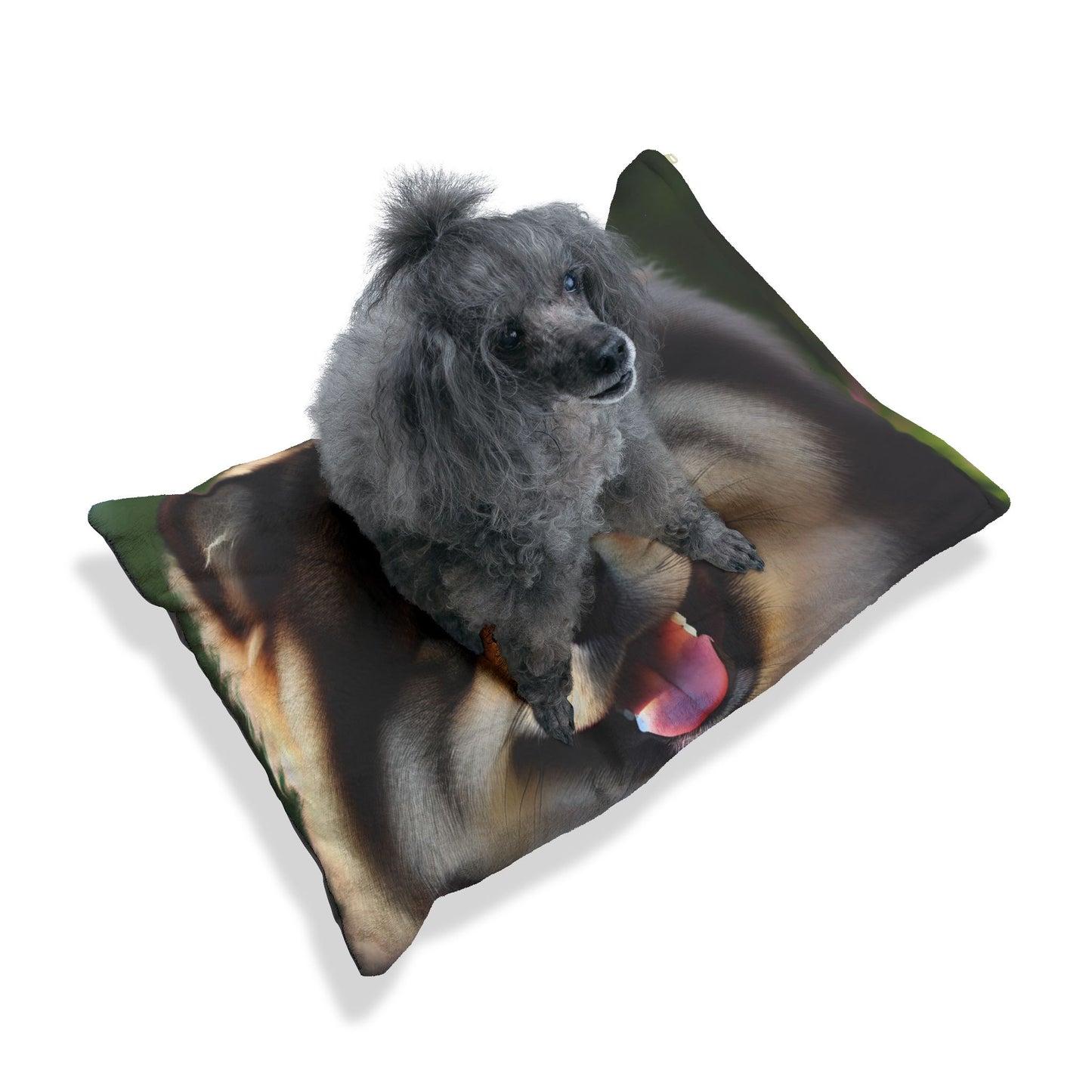 Finnish Lapphund Pet Bed