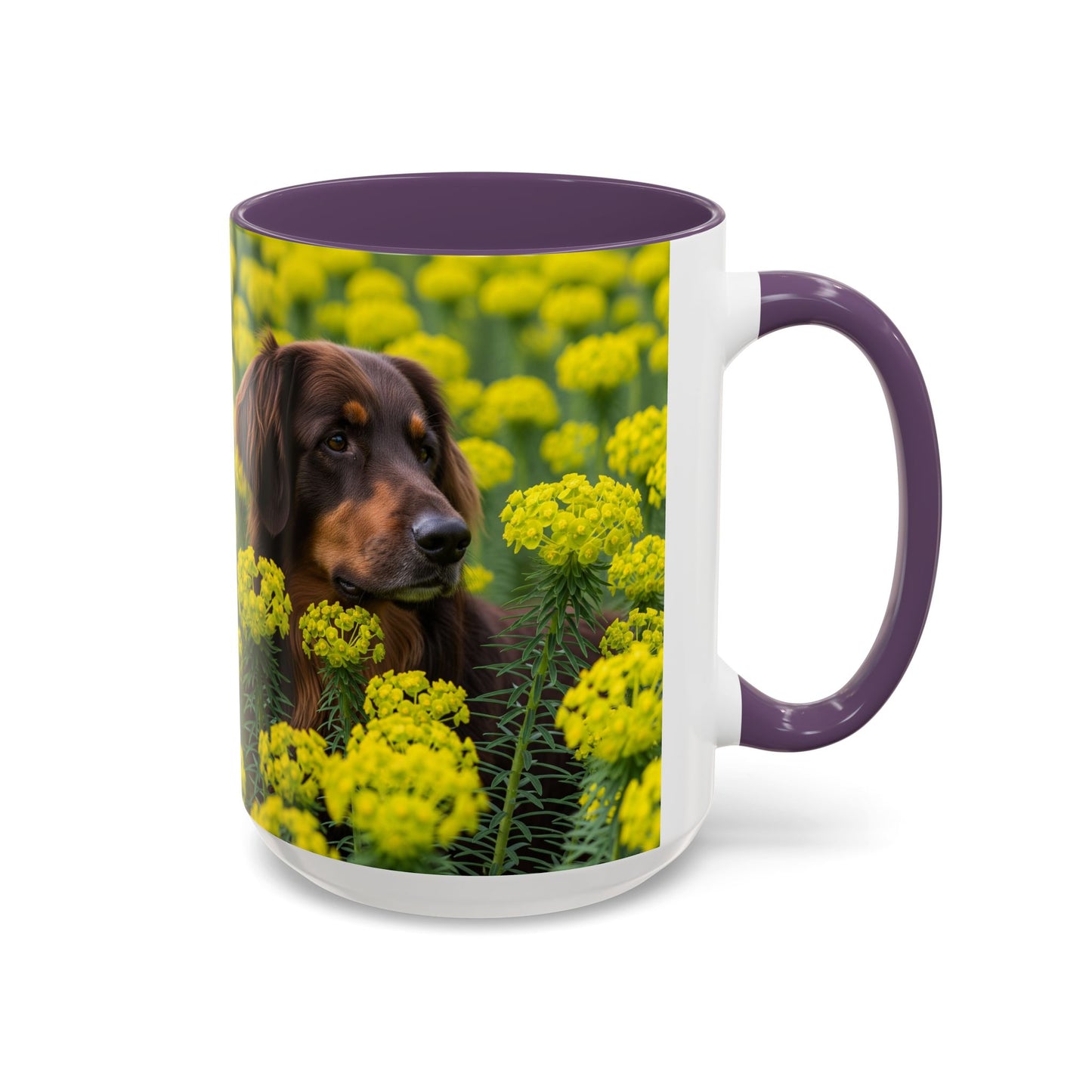 Hovawart Accent Coffee Mug - Perfect Gift for Dog Lovers
