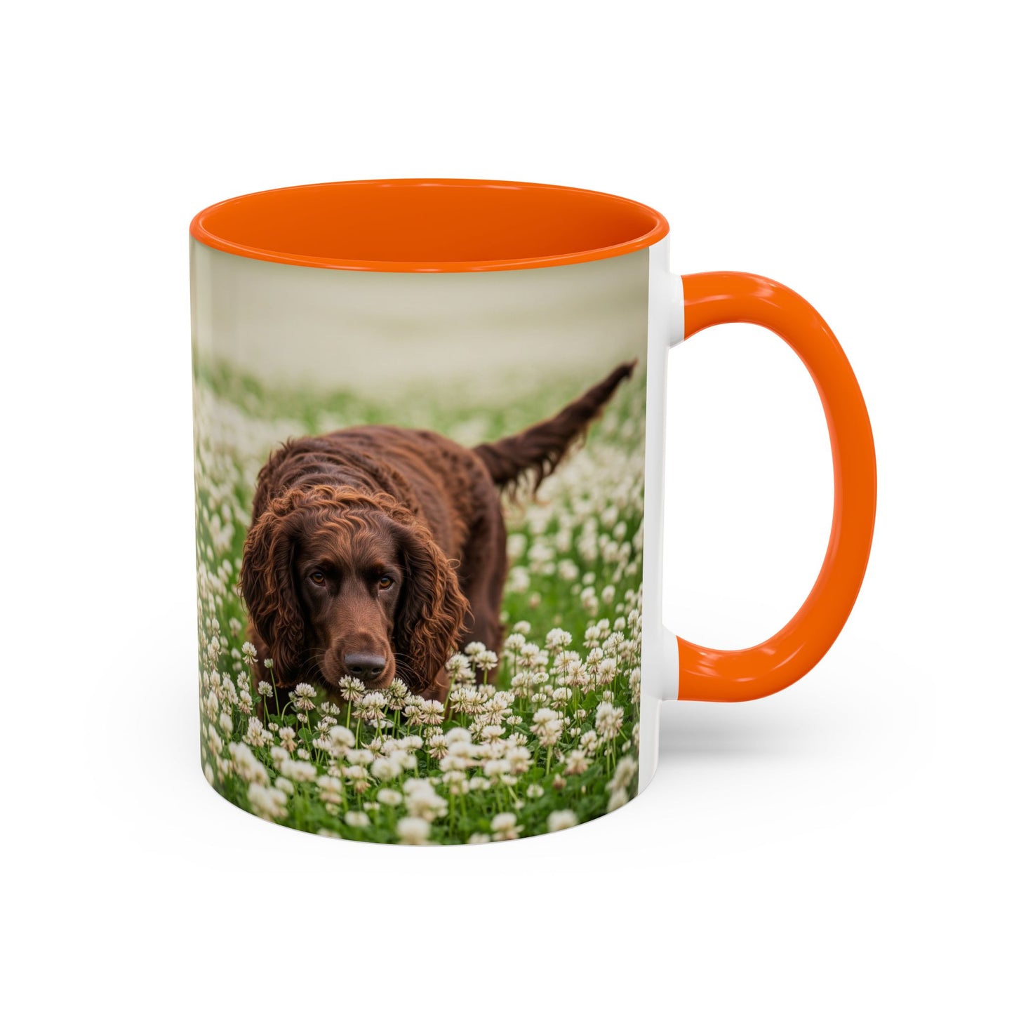 Irish Water Spaniel Accent Coffee Mug - Perfect Gift for Dog Lovers