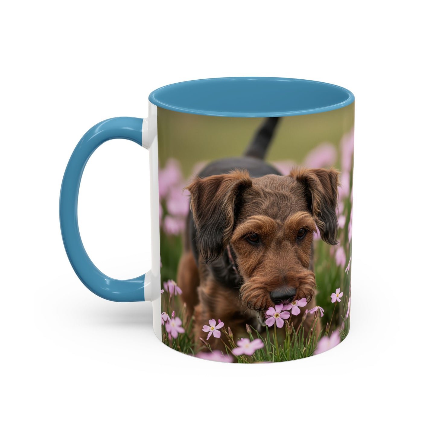 Cesky Terrier Accent Coffee Mug - Perfect Gift for Dog Lovers