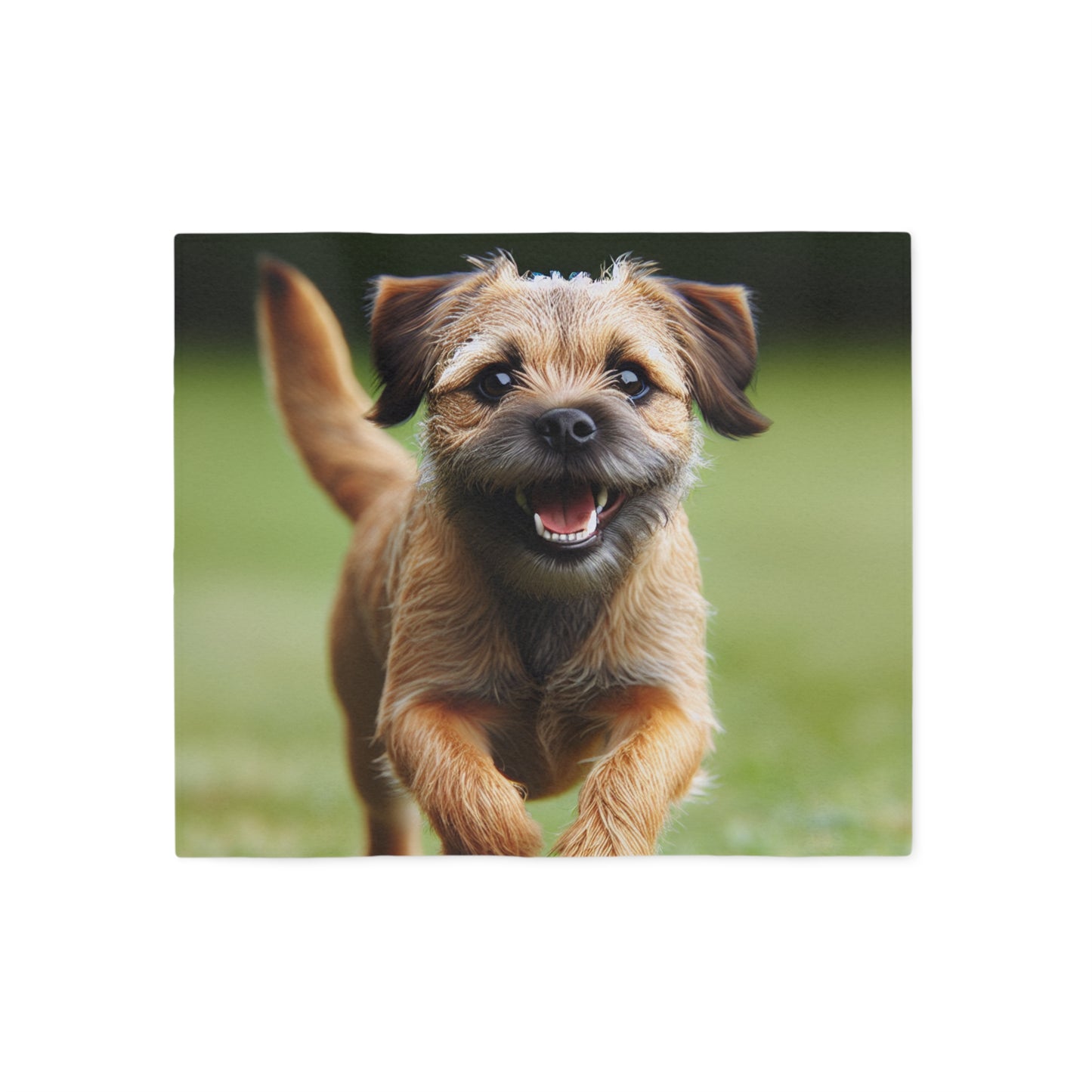 Border Terrier Sweatshirt Blanket