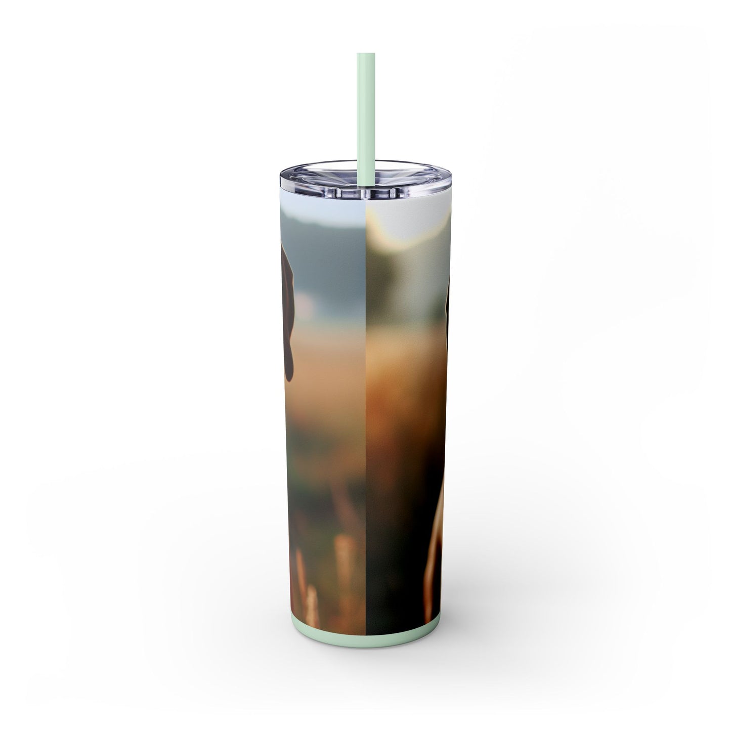 Broholmer Tumbler with Straw, 20oz