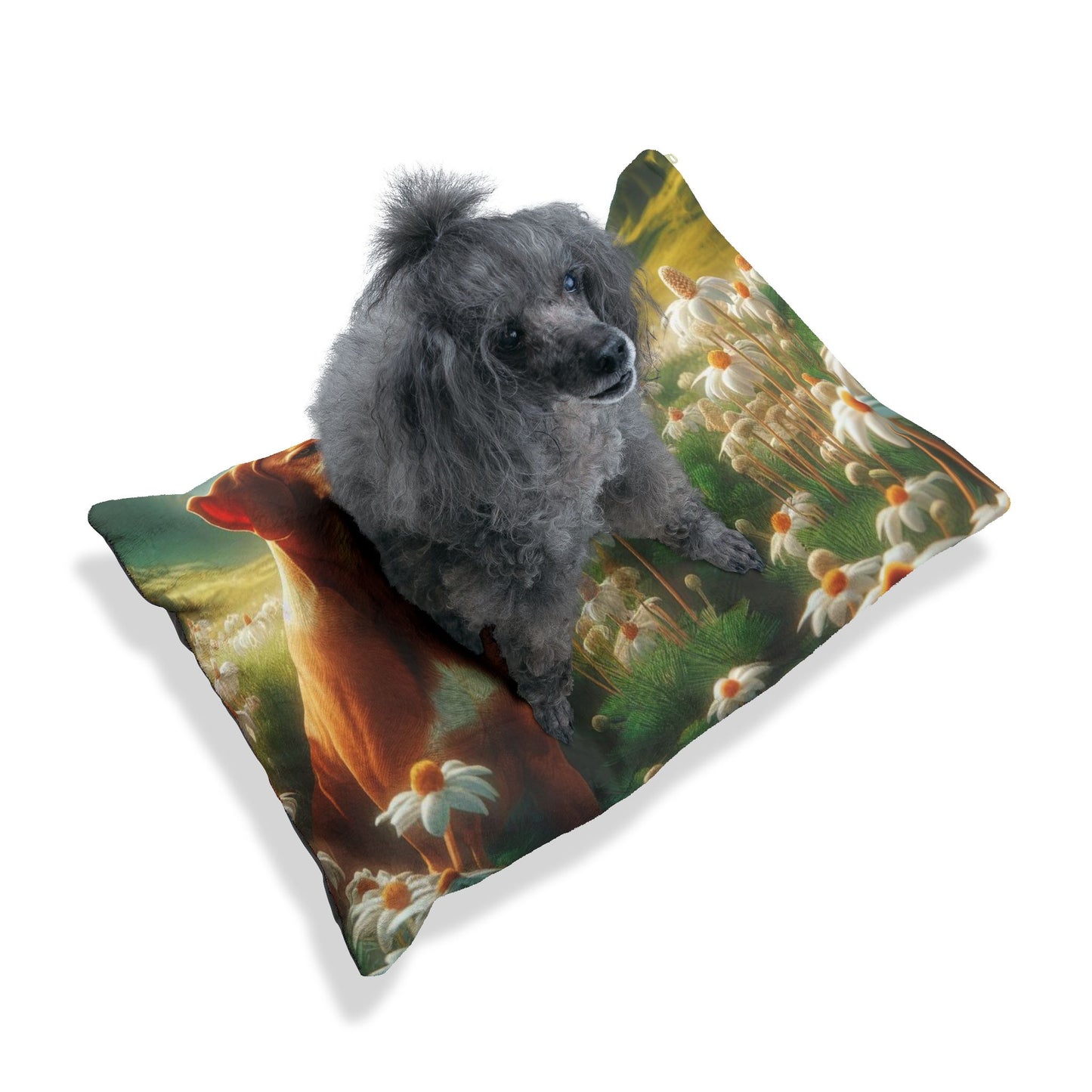 Bavarian Mountain Scent Hound Pet Bed