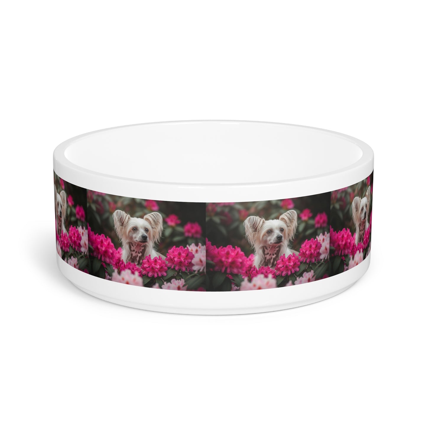 Chinese Crested Pet Bowl