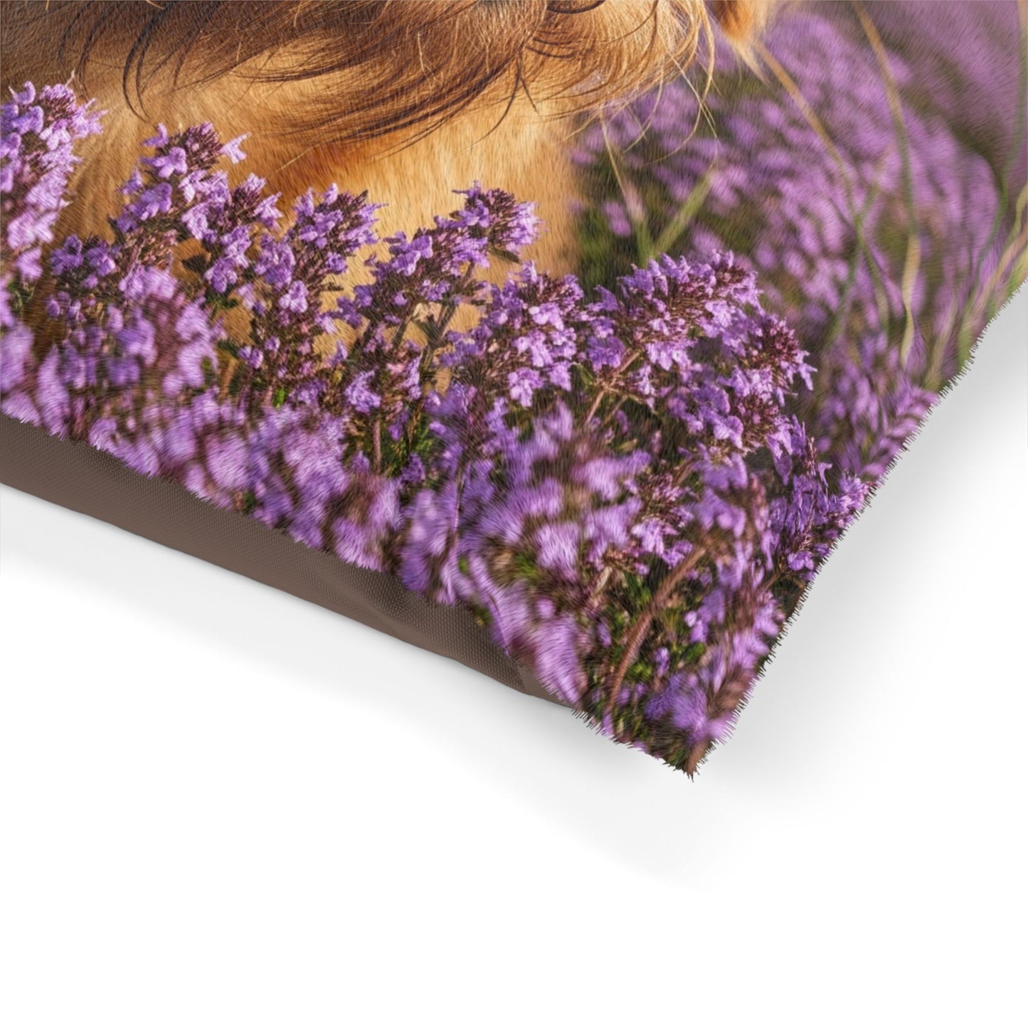Griffon Bruxellois Pet Bed