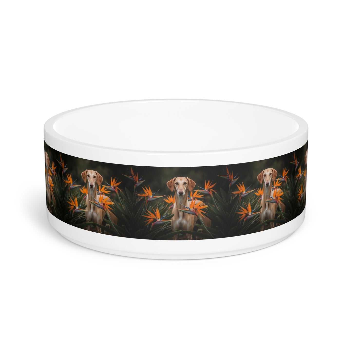 Azawakh Pet Bowl