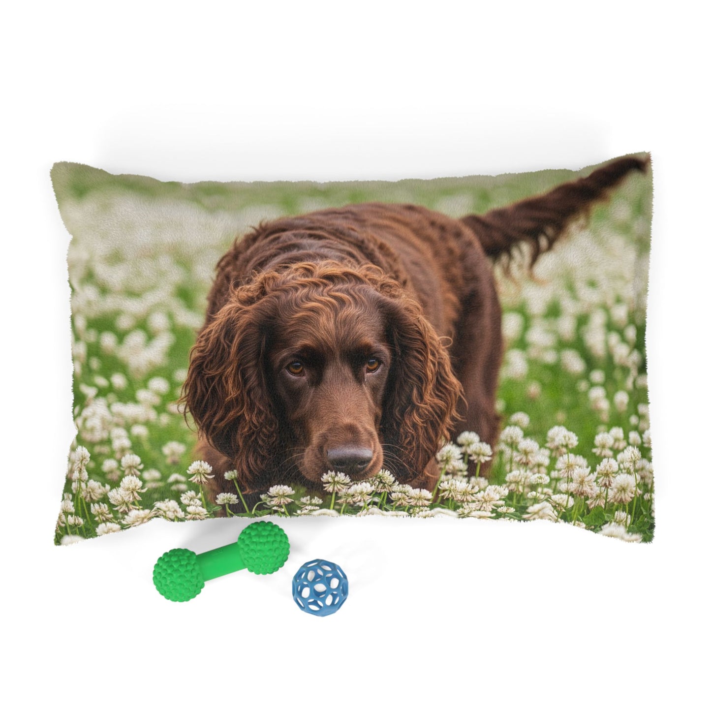 Irish Water Spaniel Pet Bed