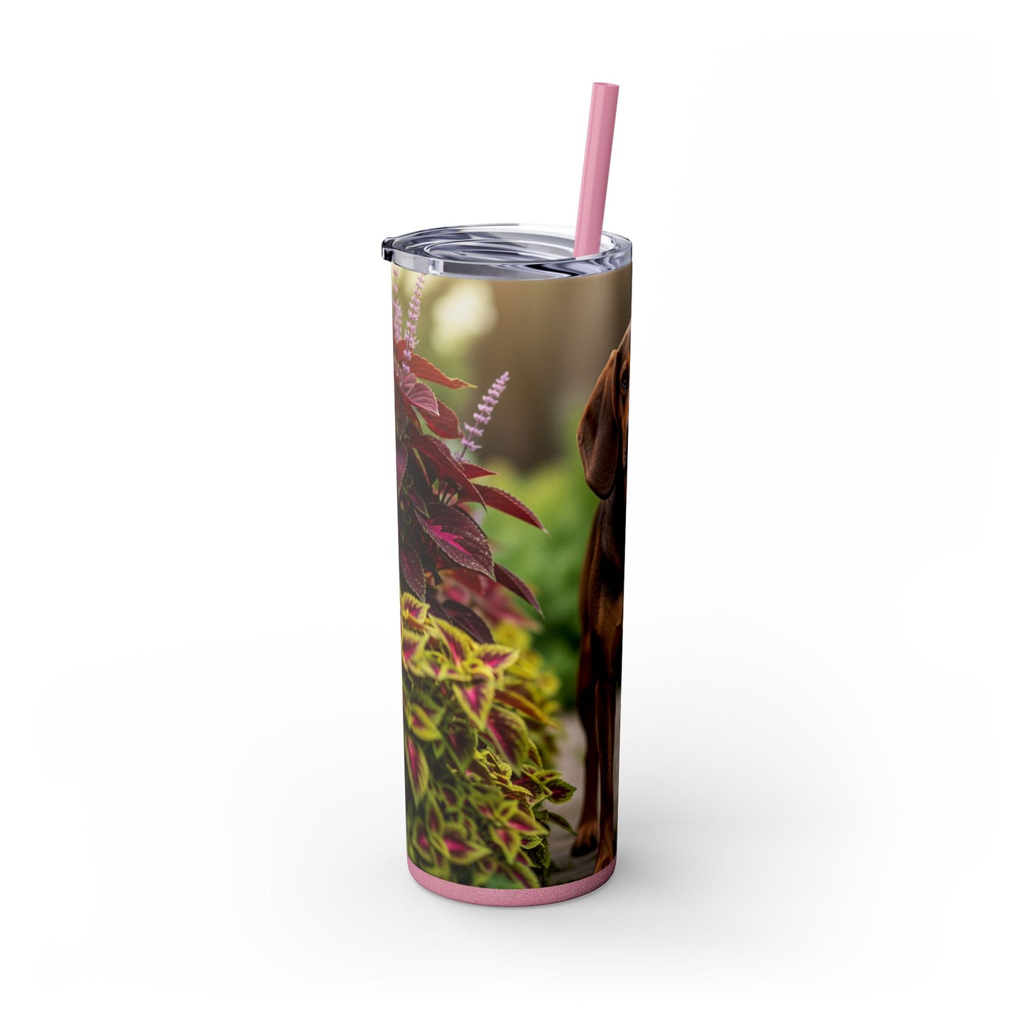 Hamiltonstovare Tumbler with Straw, 20oz