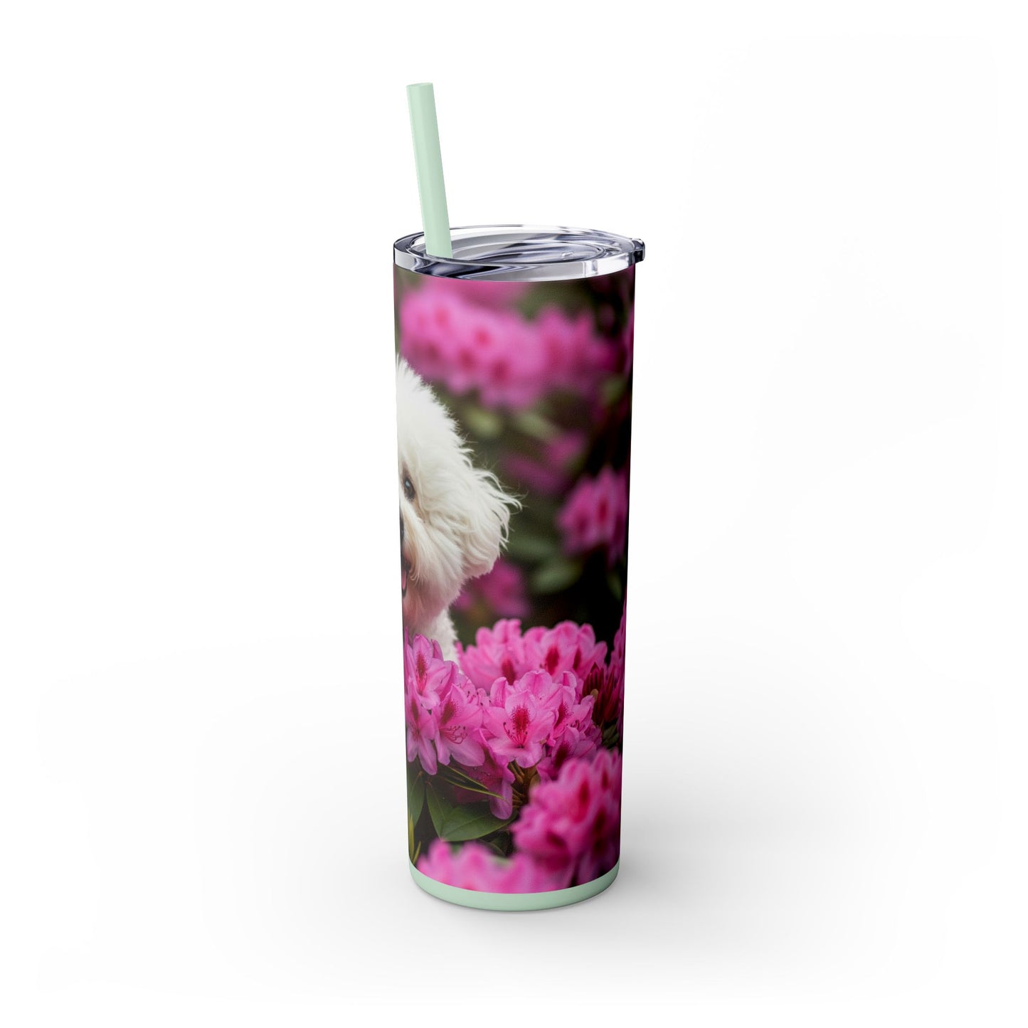 Bichon Frise Tumbler with Straw, 20oz