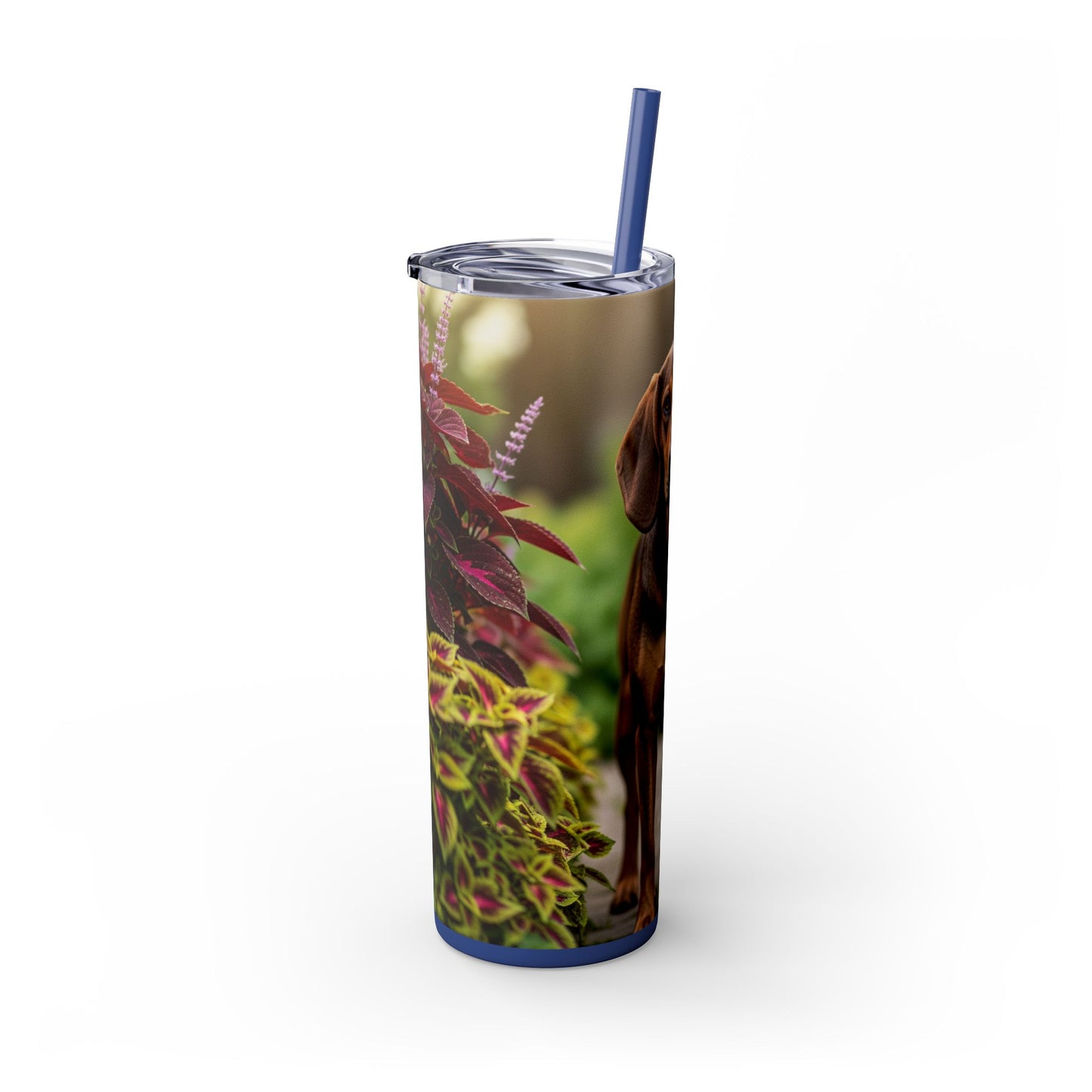 Hamiltonstovare Tumbler with Straw, 20oz