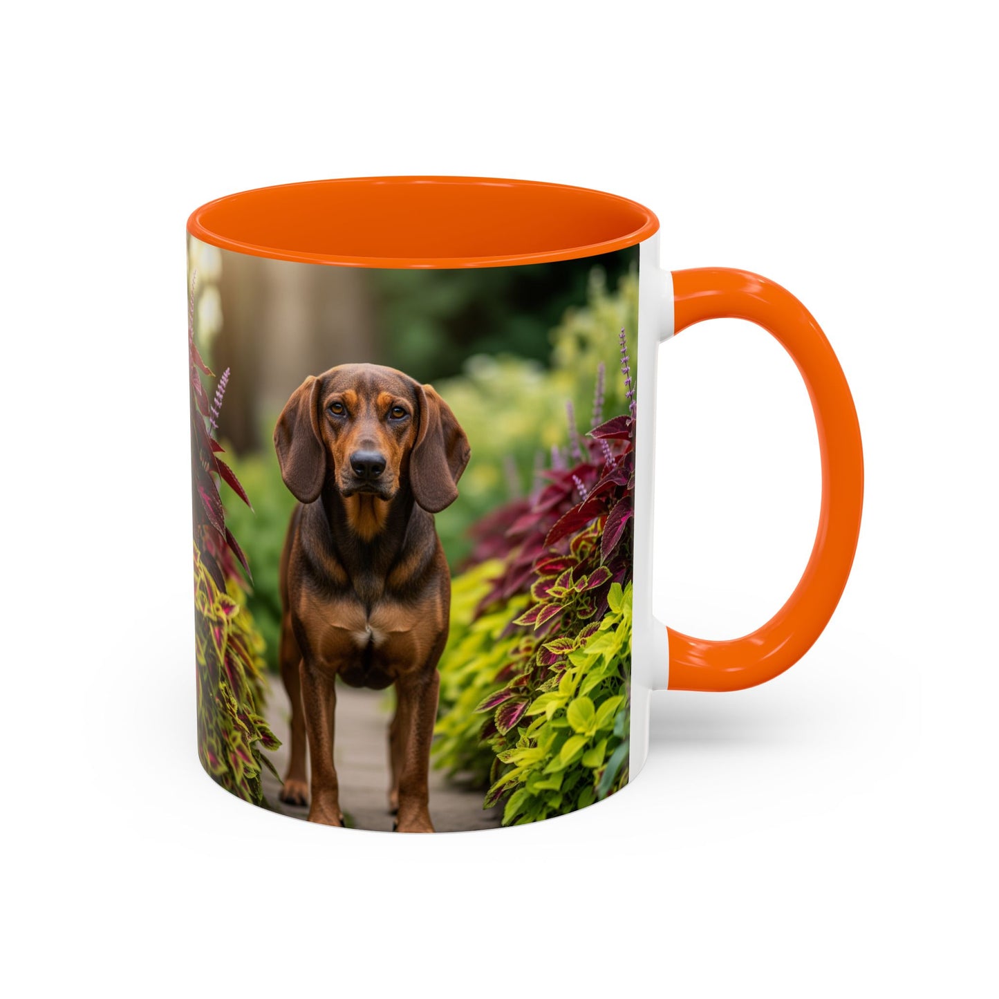 Hamiltonstovare Accent Coffee Mug - Perfect Gift for Dog Lovers