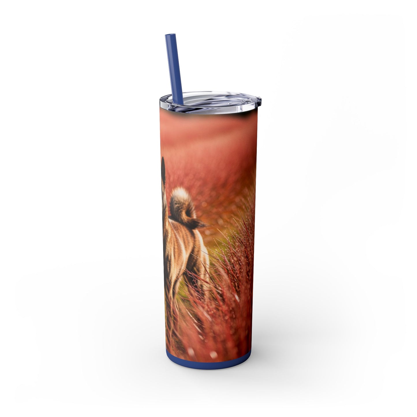 Kai Ken Tumbler with Straw, 20oz