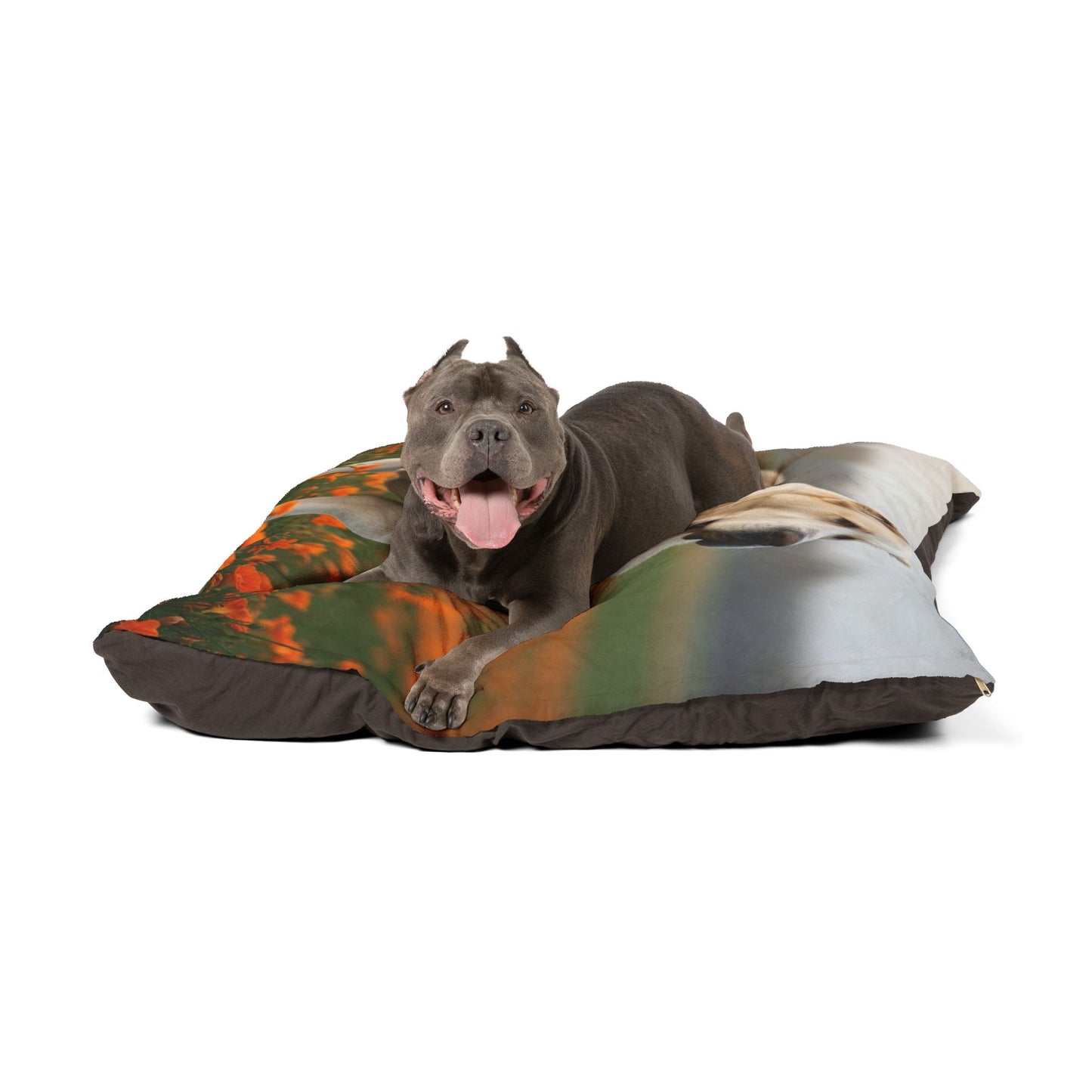 Central Asian Shepherd Dog Pet Bed