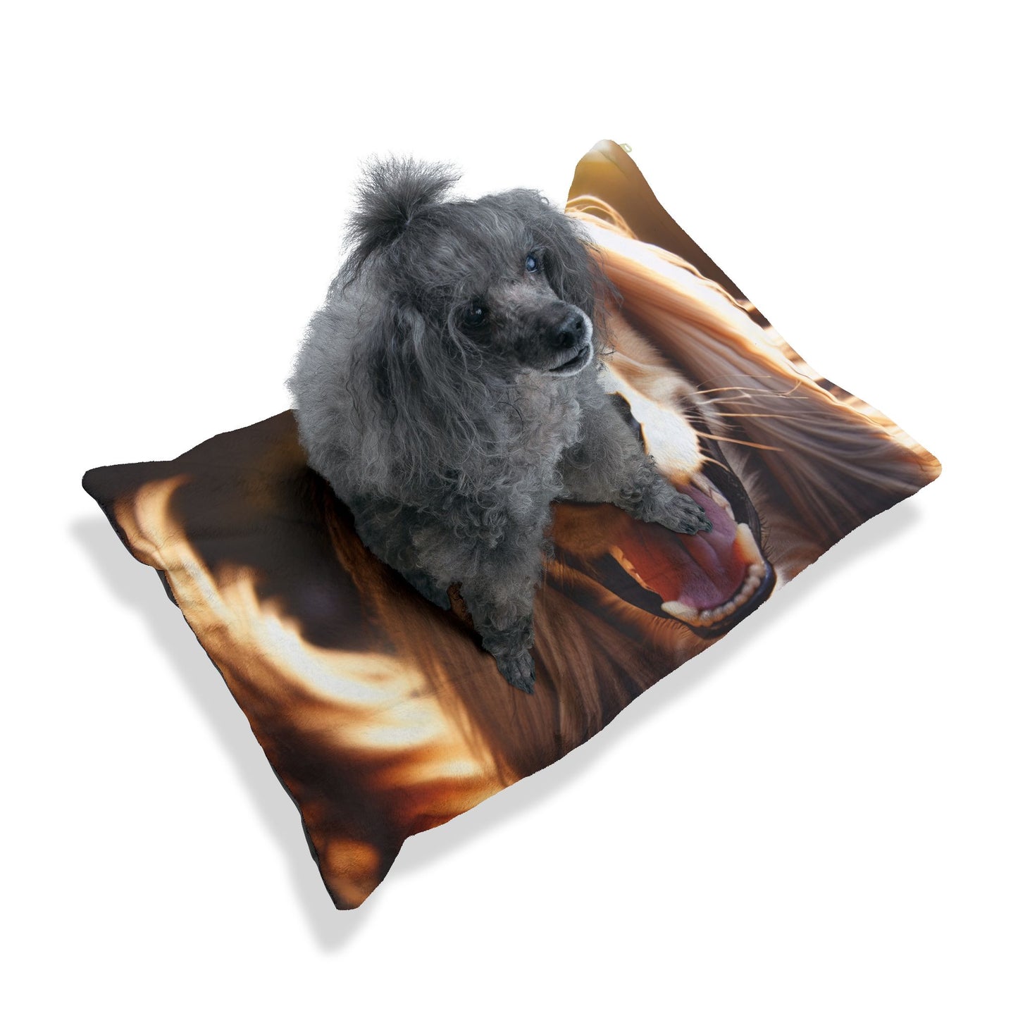 Afghan Hound Pet Bed