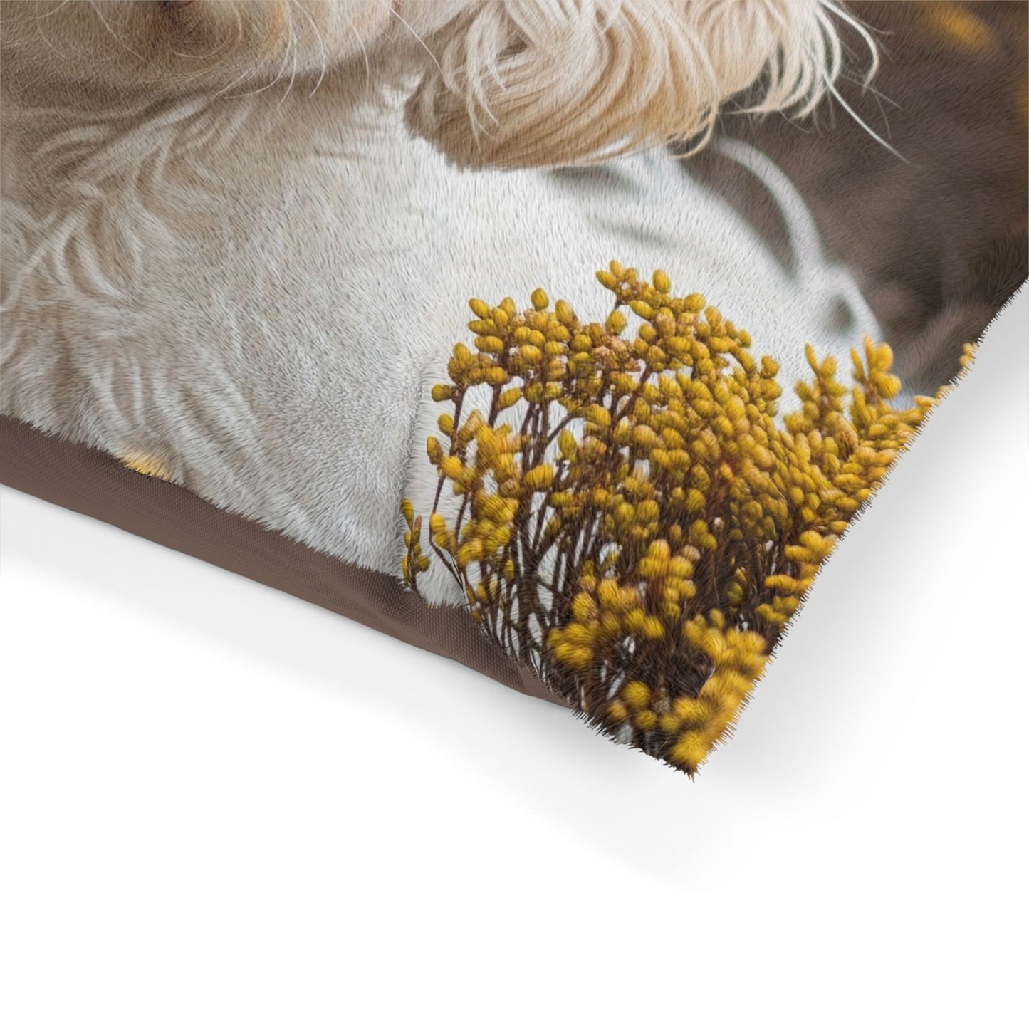 Maltipoo Pet Bed