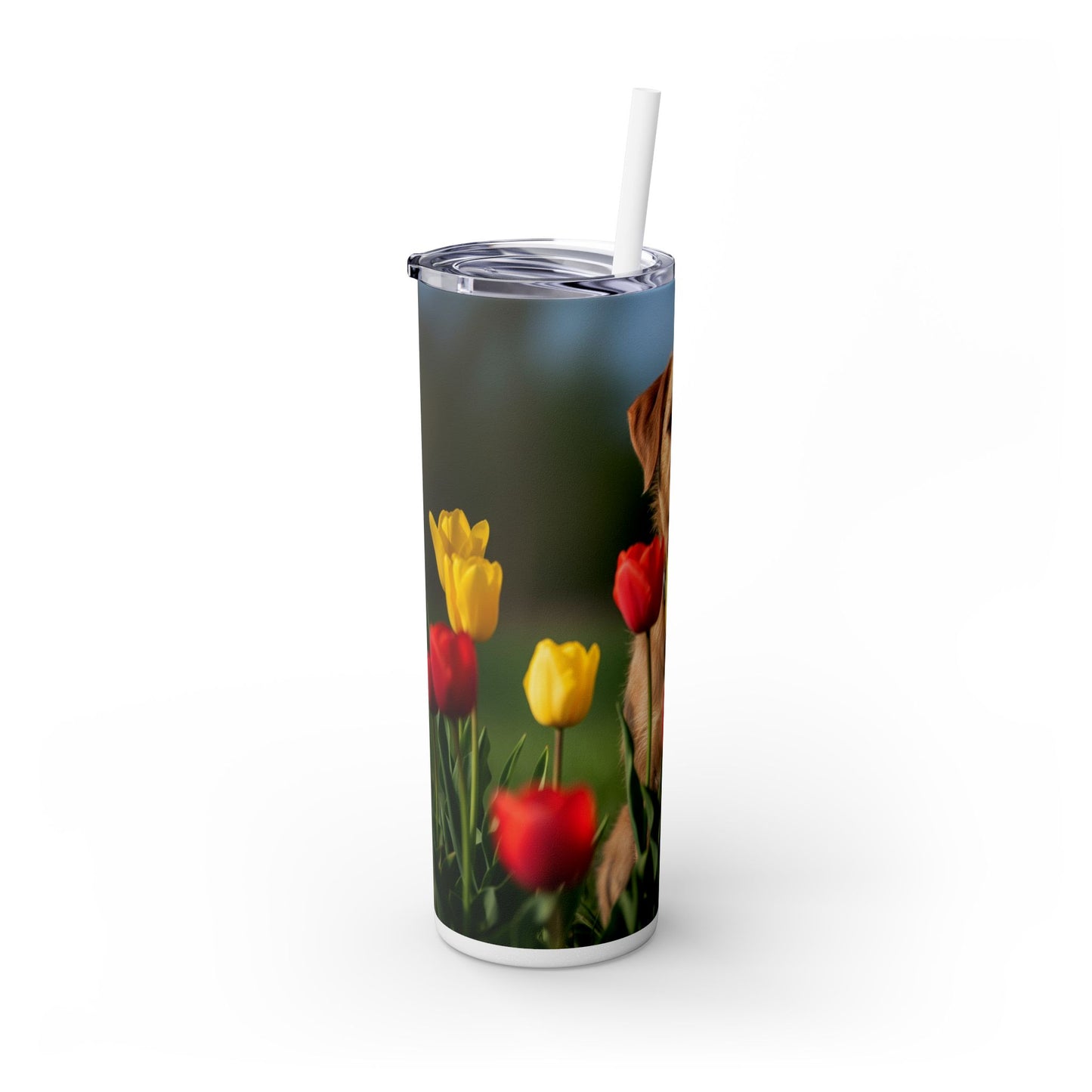 Pumi Skinny Tumbler with Straw, 20oz