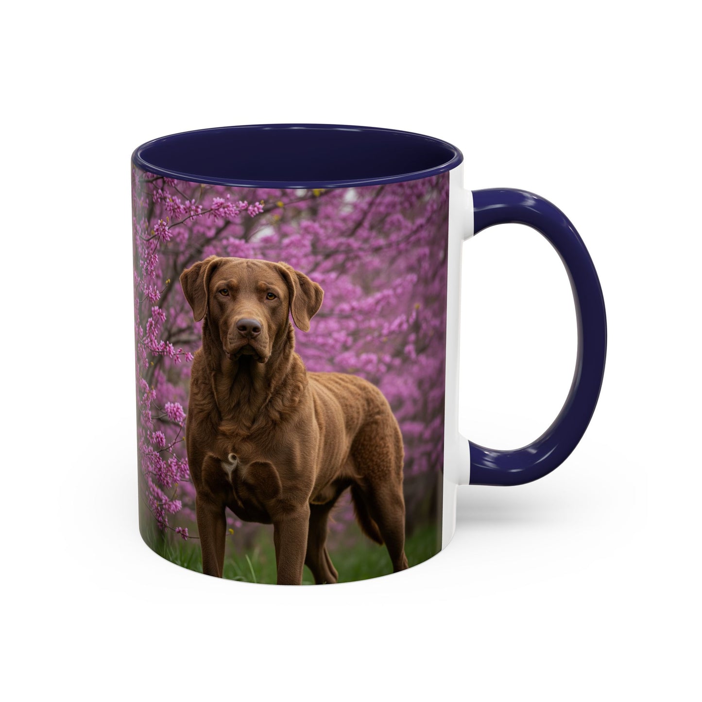 Chesapeake Bay Retriever Accent Coffee Mug - Perfect Gift for Dog Lovers