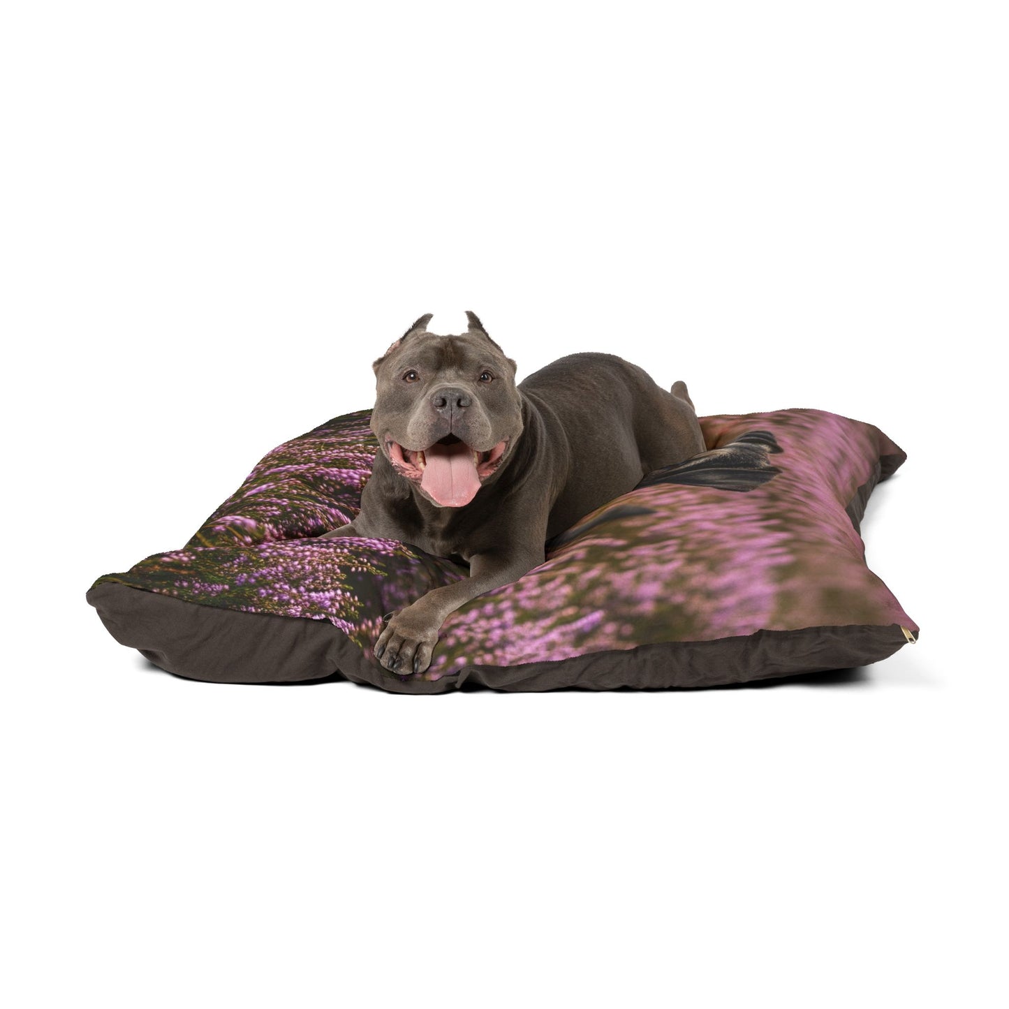 Glen of Imaal Terrier Pet Bed